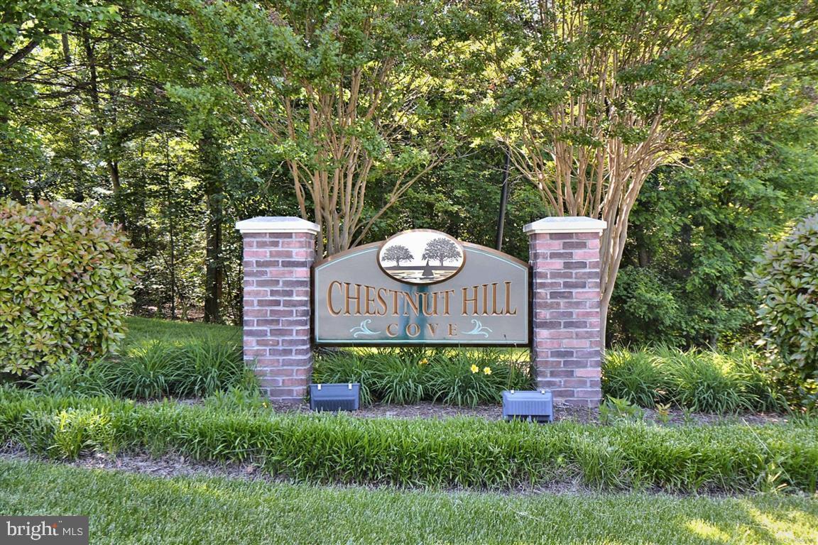 CHESTNUT HILL COVE - Residential
