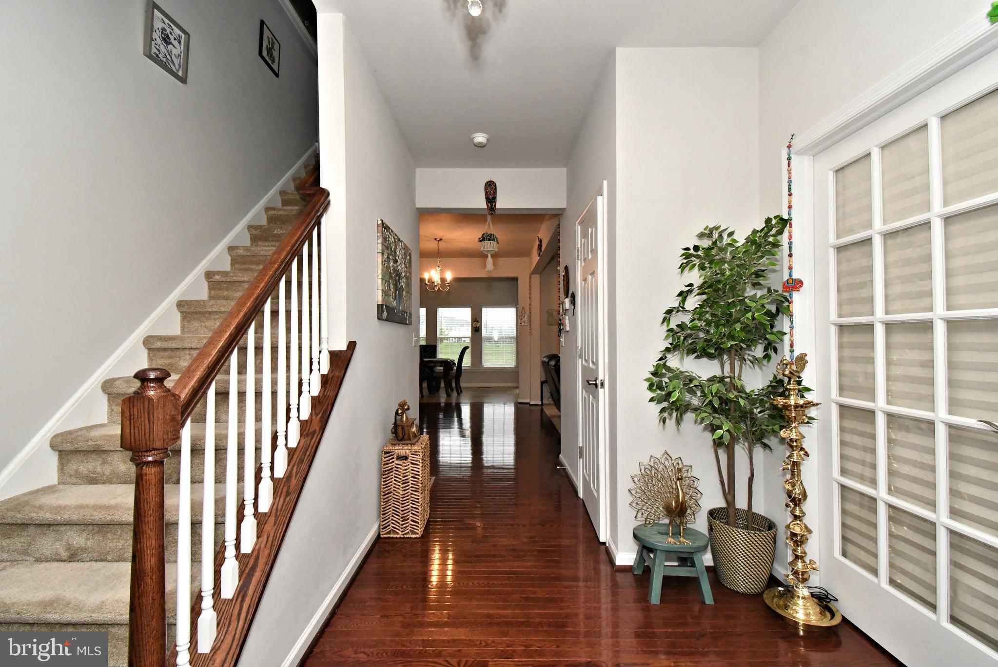 245 SUMNER COURT