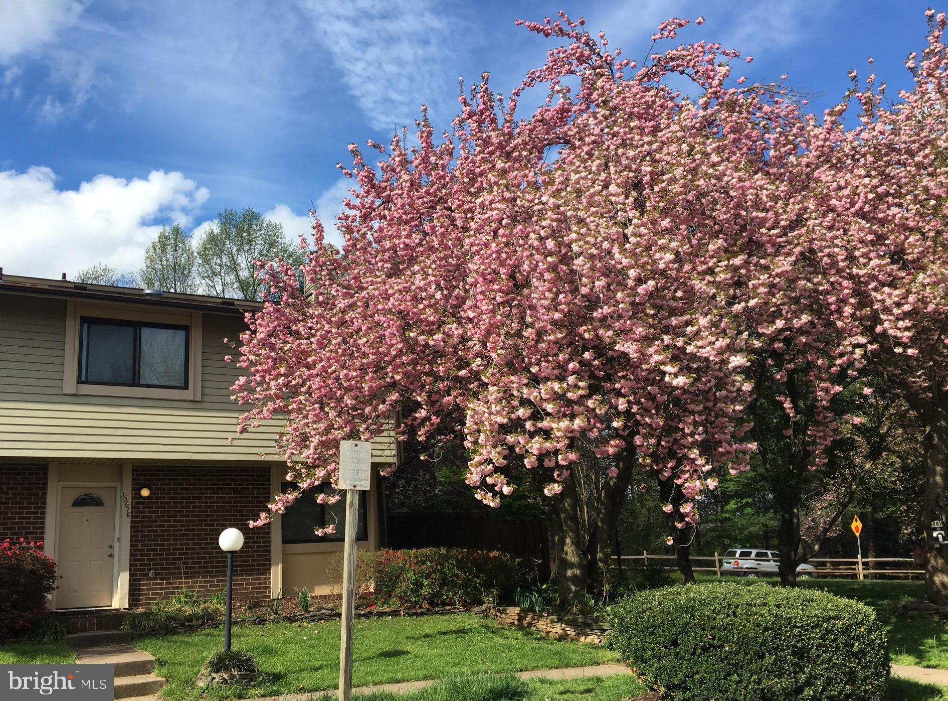BURKE CENTRE - Residential