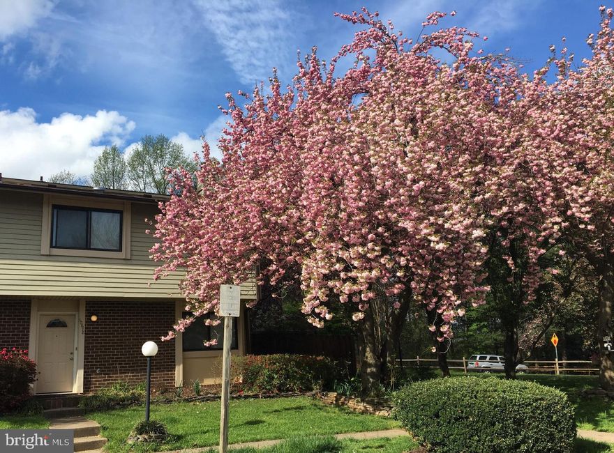 At the end of the cul de sac sits this ideal end townhouse with tons of room, light and closets!  Renovated kitchen and baths, freshly painted and move in ready!  Dining room opens to huge patio with great shed and tons of space to enjoy the outdoors!  Expansive bedrooms and two and a half baths.  Easy living - conveniently located to all!