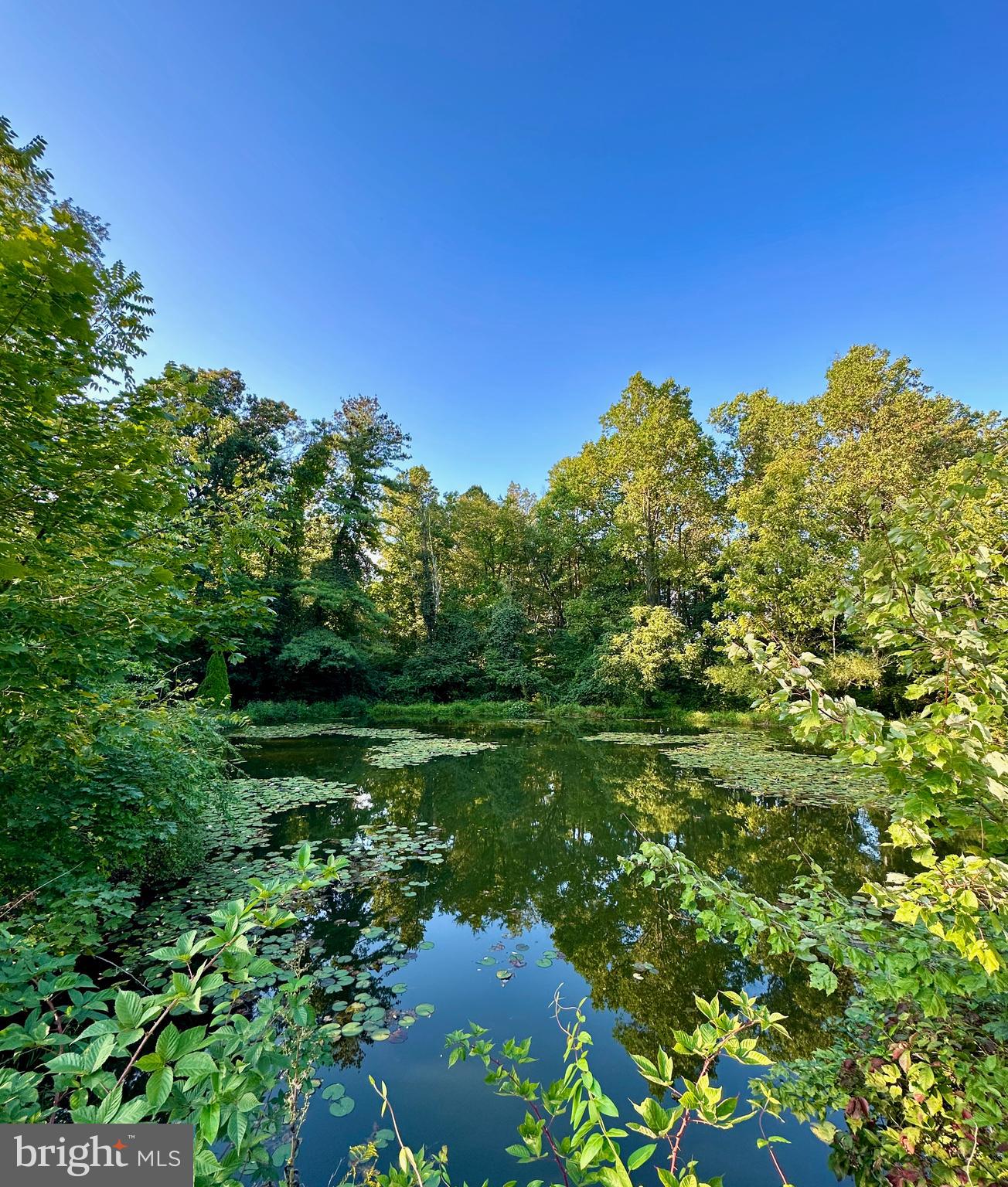 GARDNERS - Residential