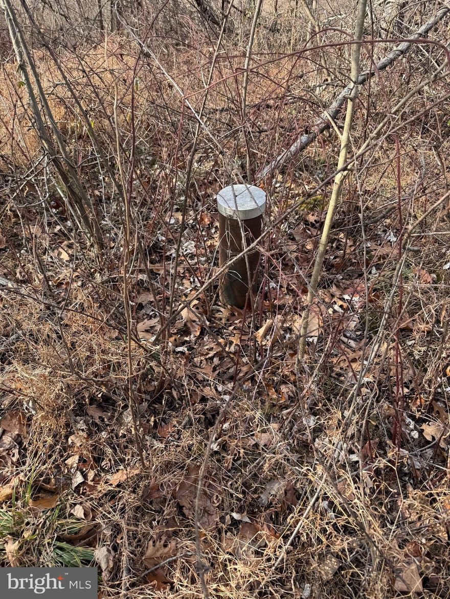 Set in a highly desirable area of Carroll County, this 5.38-acre parcel offers the perfect balance of space, convenience, and ready-to-build potential. With a well already in place and perc approval completed, much of the groundwork has been done—bringing you one step closer to turning plans into reality.
 The acreage provides plenty of room to position a custom home with breathing room to spare, while still keeping everyday destinations comfortably within reach. Whether your vision includes a sprawling residence, gardens, outbuildings, or simply open space to enjoy, the land offers flexibility without feeling overwhelming. Mature surroundings and natural buffers create a sense of privacy, while the location delivers the advantage of being in one of Carroll County’s most sought-after areas. It’s an ideal setting for those who want land without sacrificing accessibility or long-term value. Opportunities like this—where location, usable acreage, and essential improvements come together—don’t surface often. Walk the property, picture the possibilities, and see how easily this land can become the foundation for what’s next.
The adjacent 33.33 Acre lot is also available.