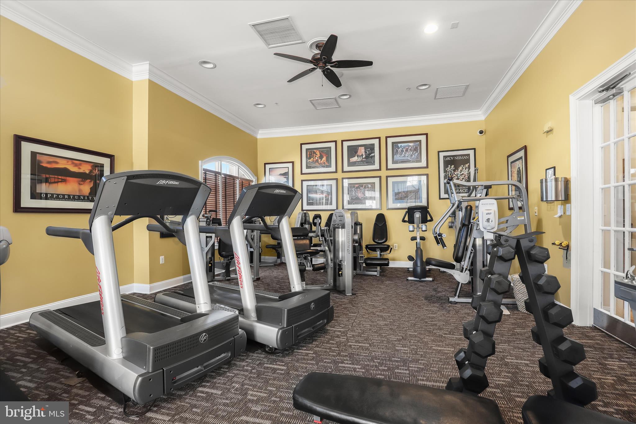 VILLAS AT SNOWDEN OVERLOOK - Residential