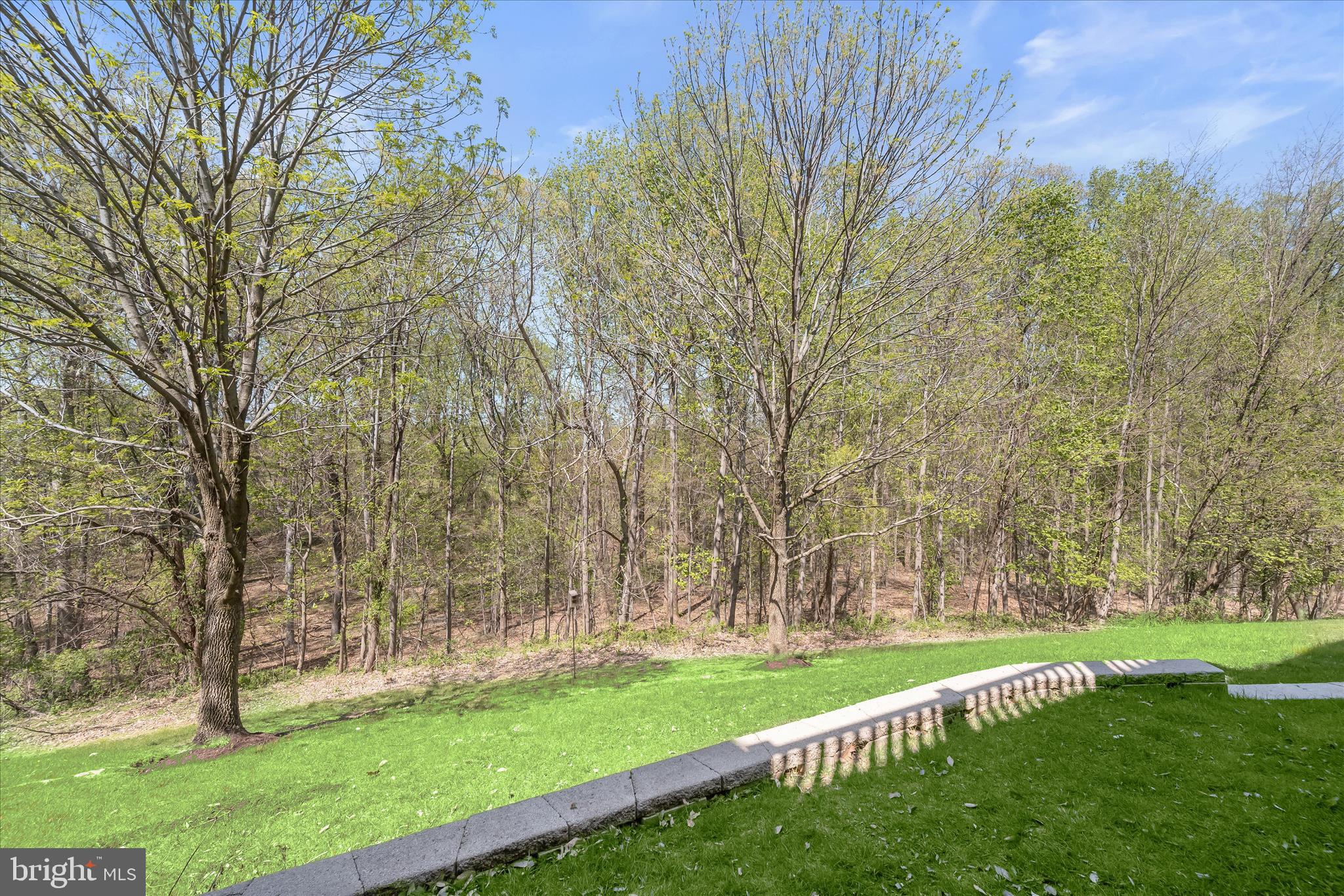 VILLAS AT SNOWDEN OVERLOOK - Residential