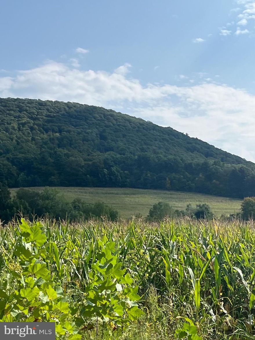 A must see!  Stunning vacant land with mountain and field views which borders a creek!  Build your dream home or maybe a retreat cabin or picnic pavilion.    Bring your ideas!  
Buyer to contact zoning officer for compliance details if planning on building a structure.