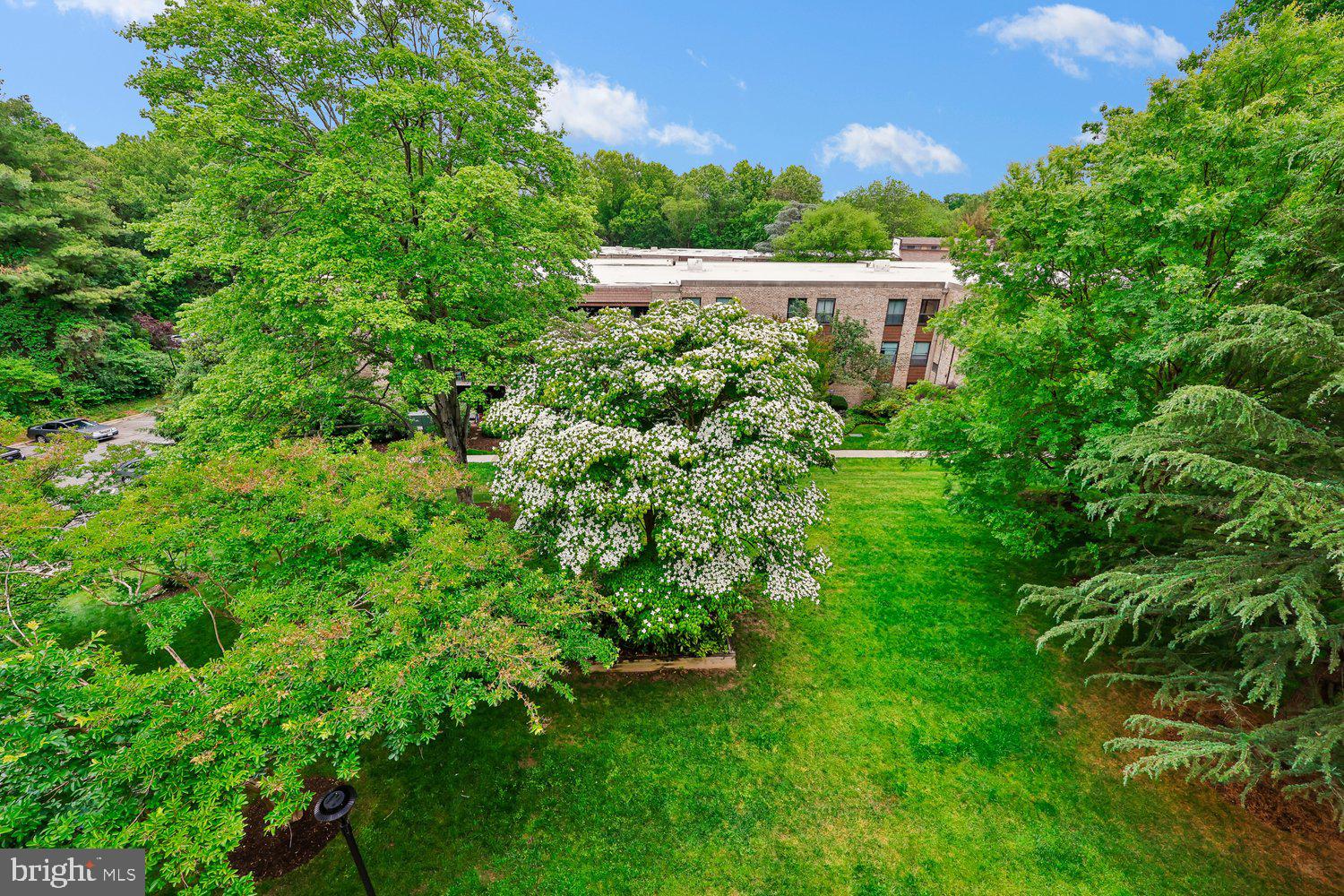 HYDE PARK - Residential