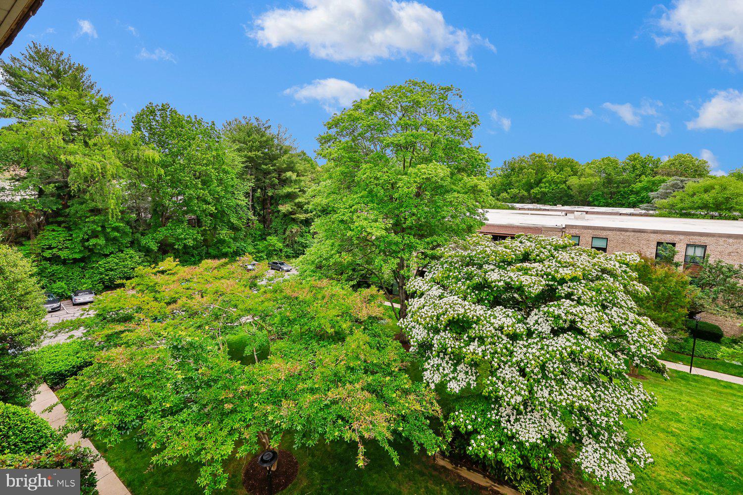 HYDE PARK - Residential