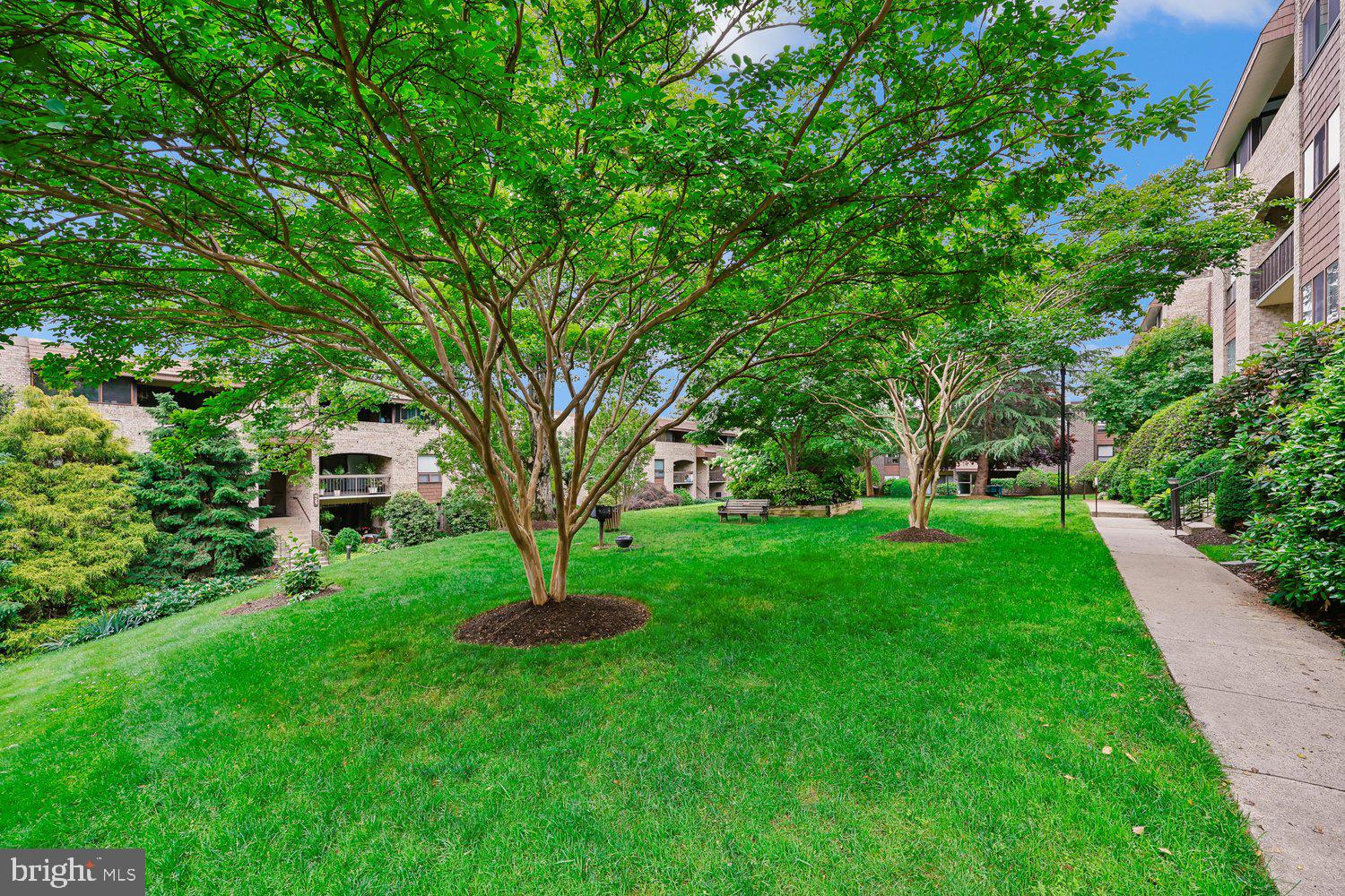 HYDE PARK - Residential