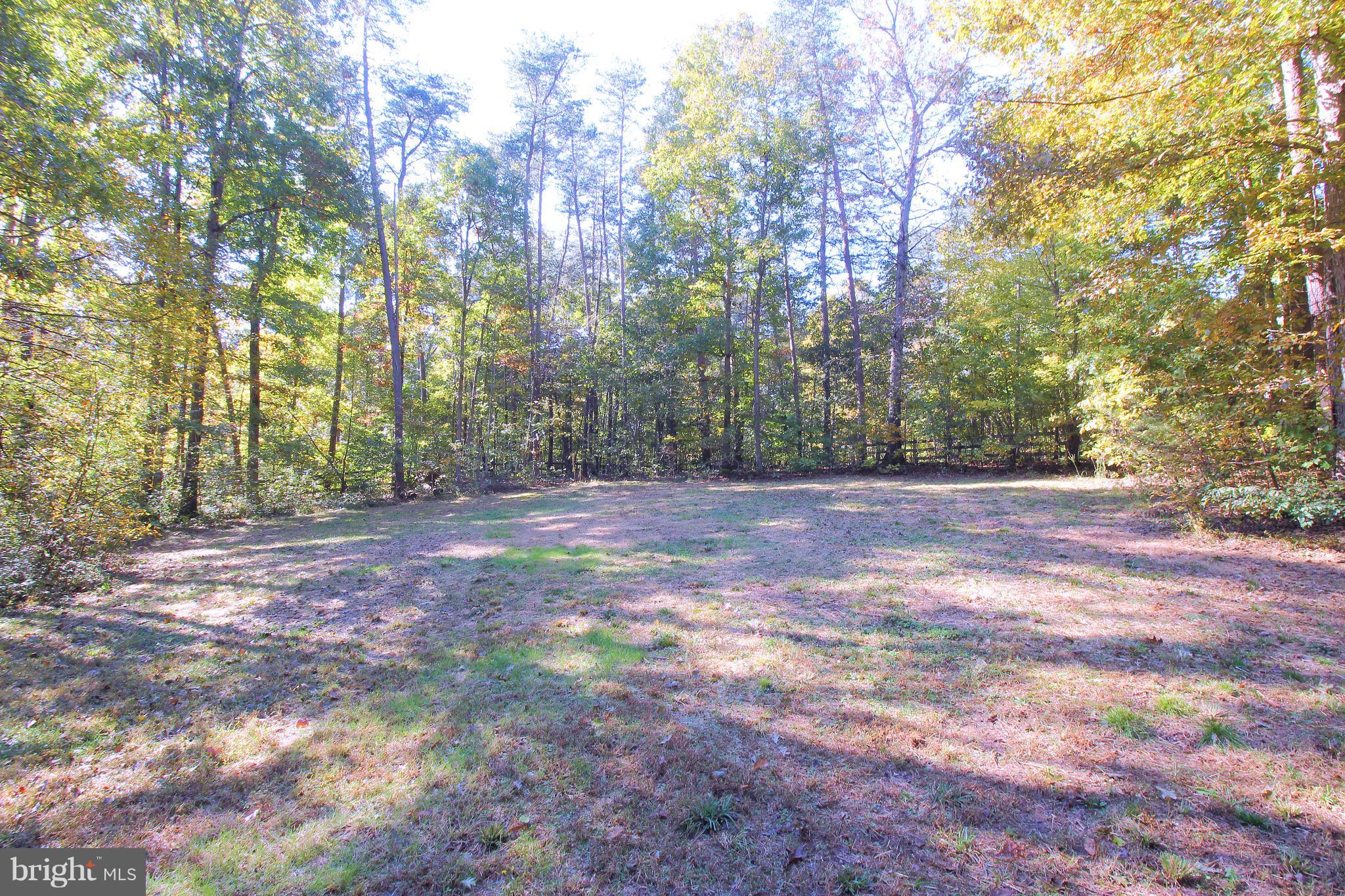 SHADE TREE - Residential