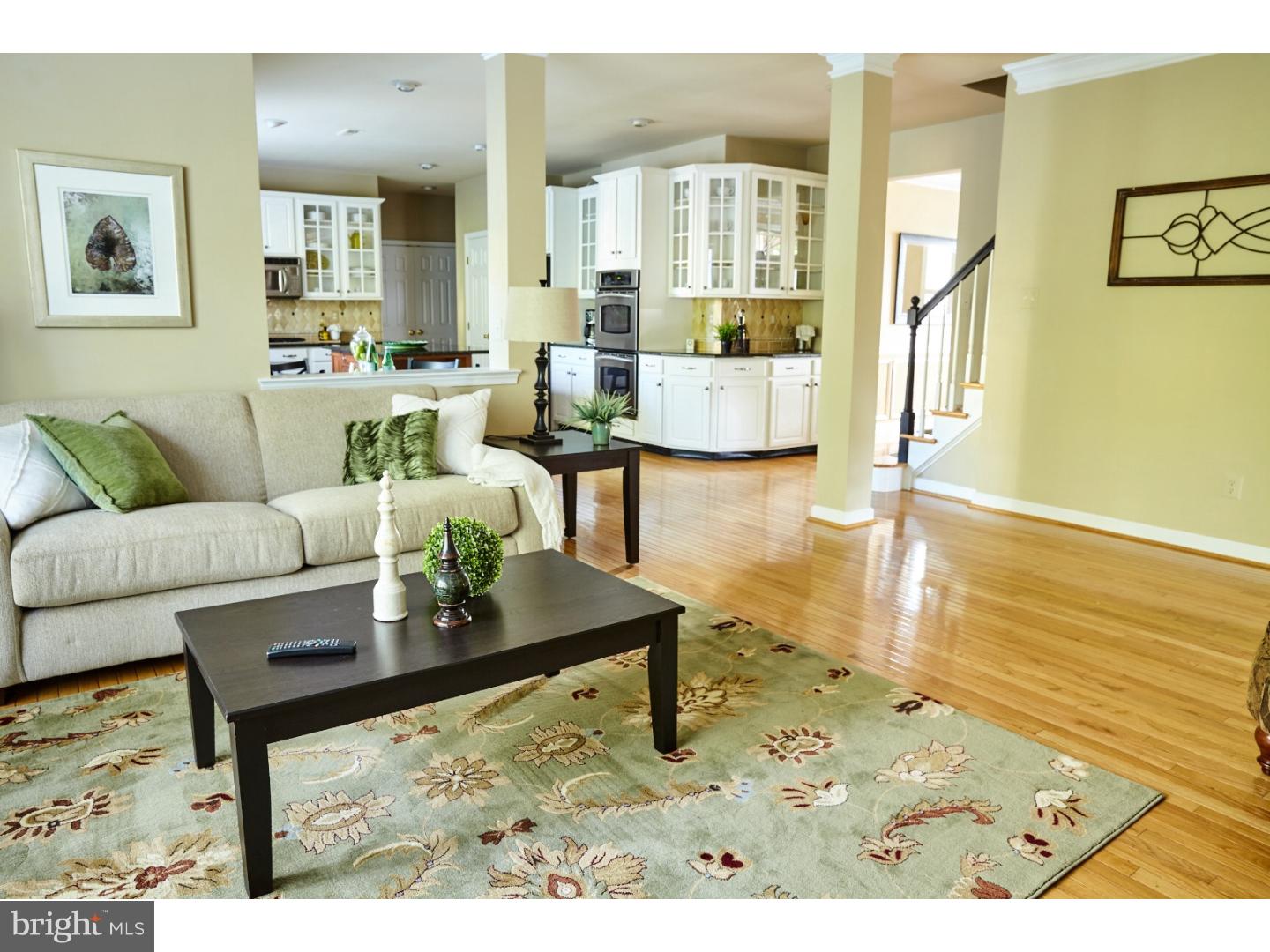 OLD MILL POINTE - Residential