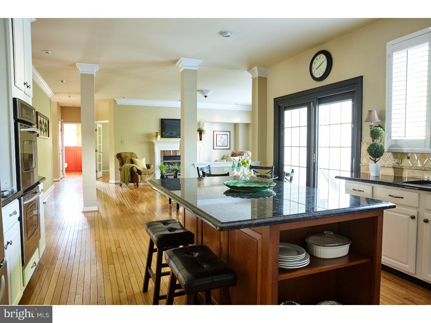 OLD MILL POINTE - Residential