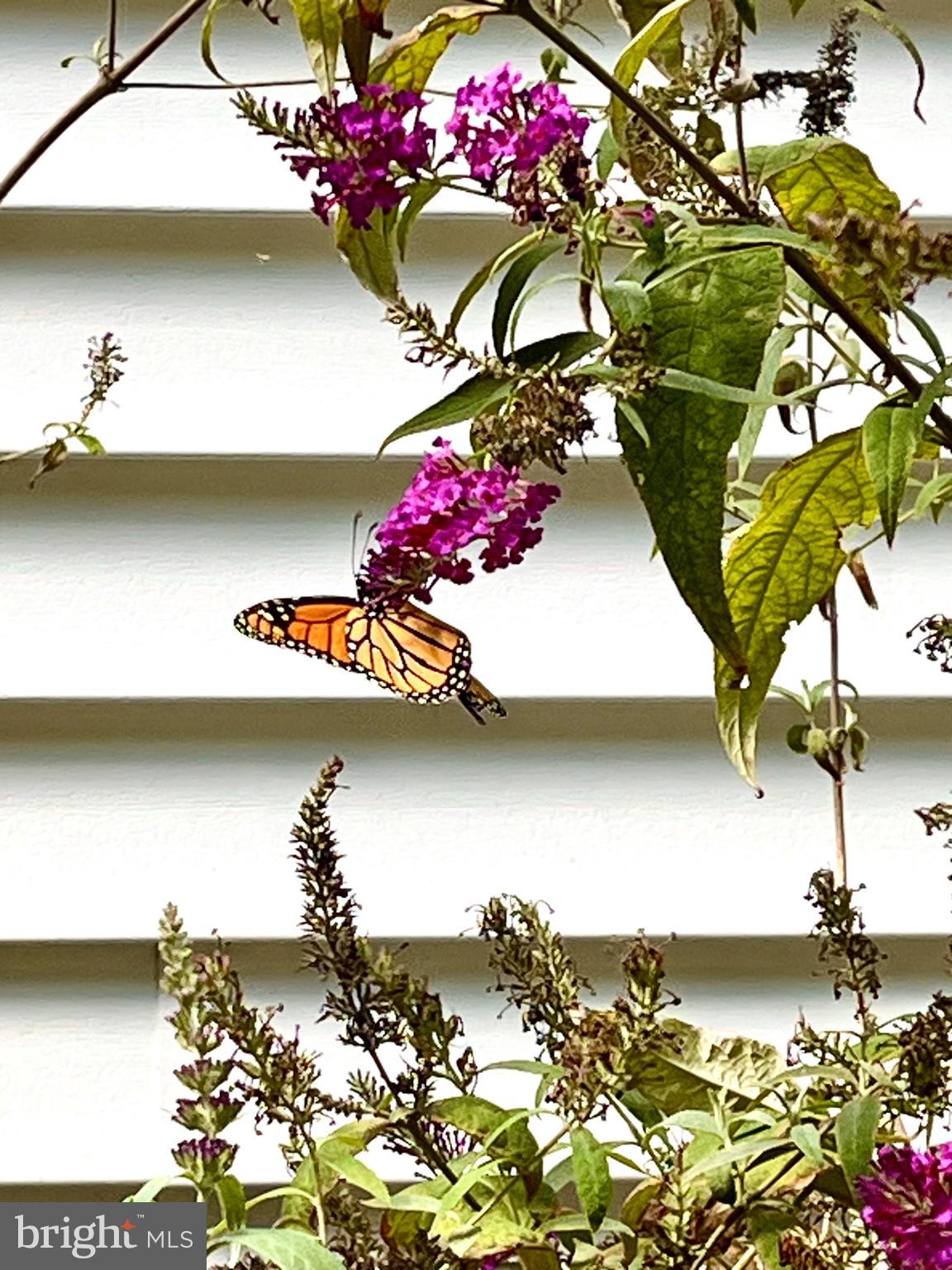 DARNESTOWN OUTSIDE - Residential