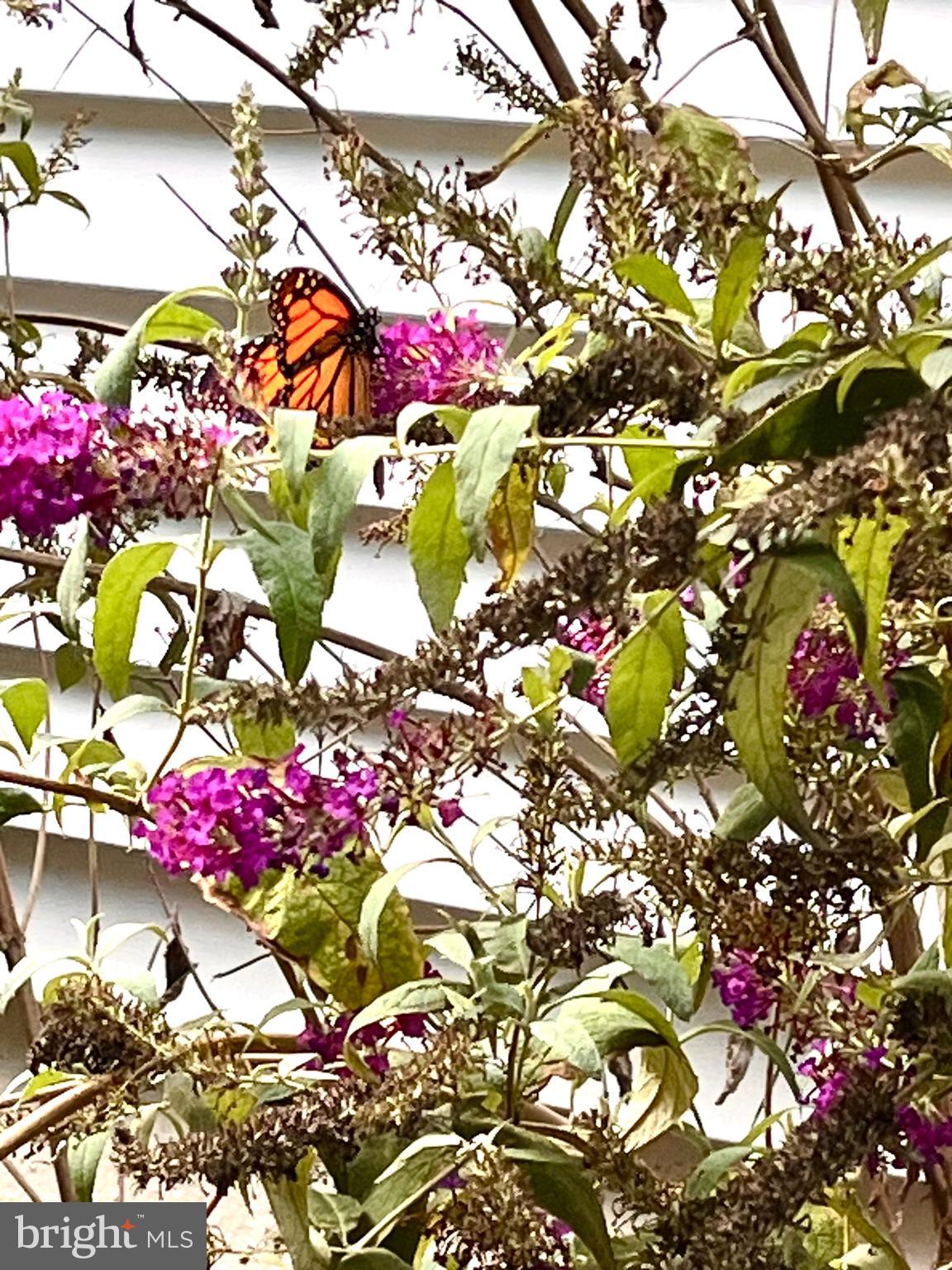 DARNESTOWN OUTSIDE - Residential