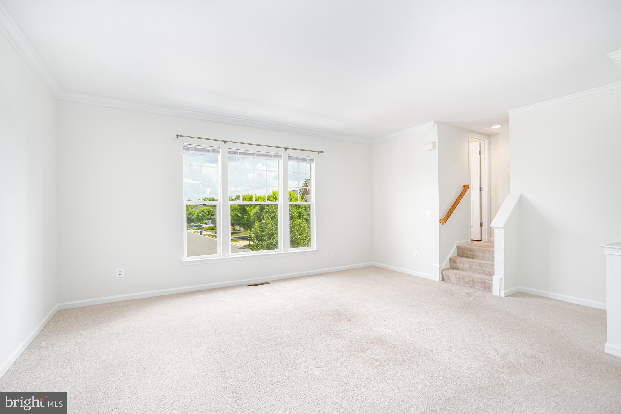 SNOWDEN BRIDGE - Residential