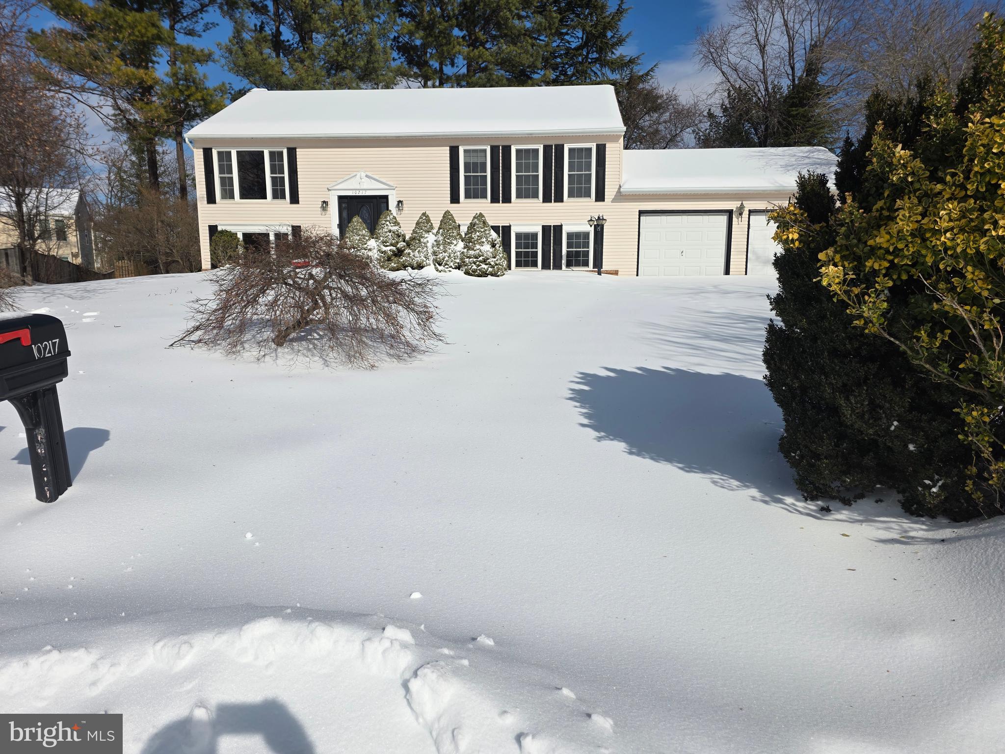 GREAT FALLS FOREST - Residential