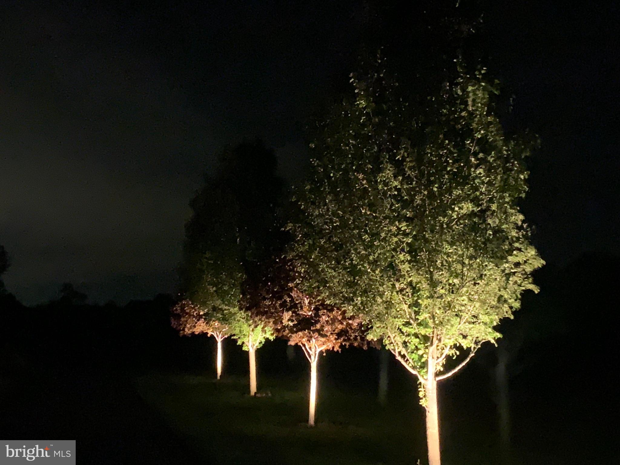 DAY VIEW - Residential