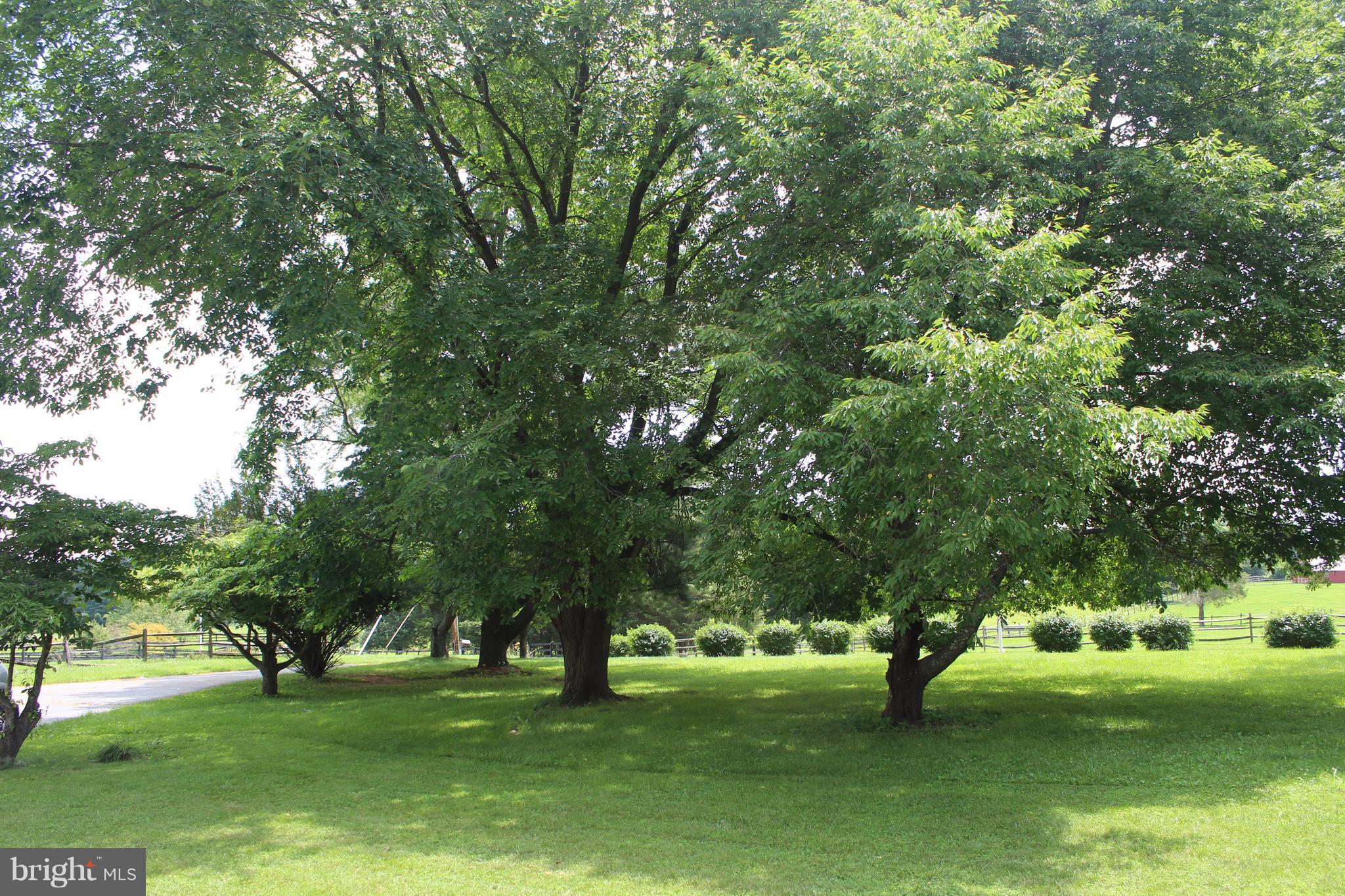 BOXWOOD FARMS - Residential