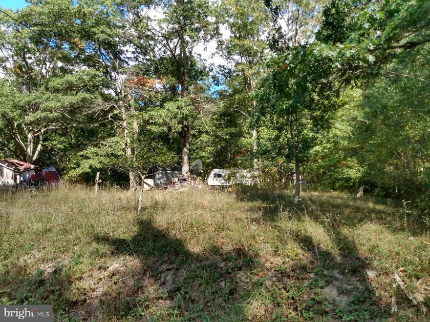 Nice level wooded lot on county maintained road, No HOA, unrestricted land, you can do what you want here with no one looking over your shoulder. Perfect for camping , shooting, hunting. Near by State WMA land and also close to the Potomac River. Electric service on property. Newer shed ads some value but old 20ft camper and a fallen down cabin are of no value. Property sold AS-IS...