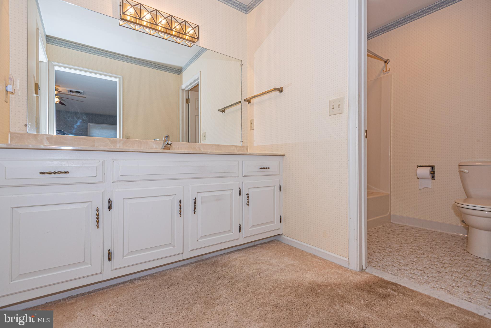 CENTENNIAL VILLAGE - Residential