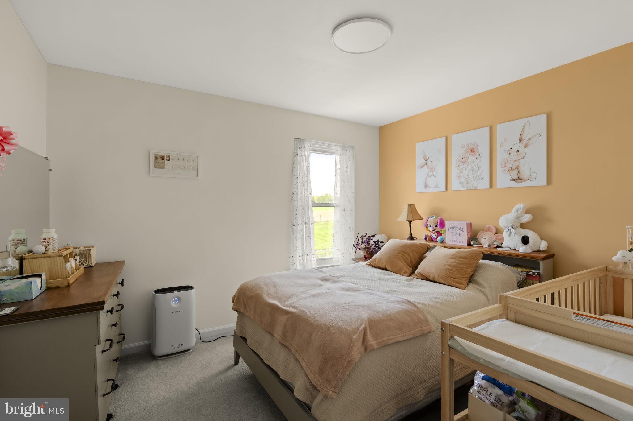 CODORUS ESTATES PHASE II - Residential
