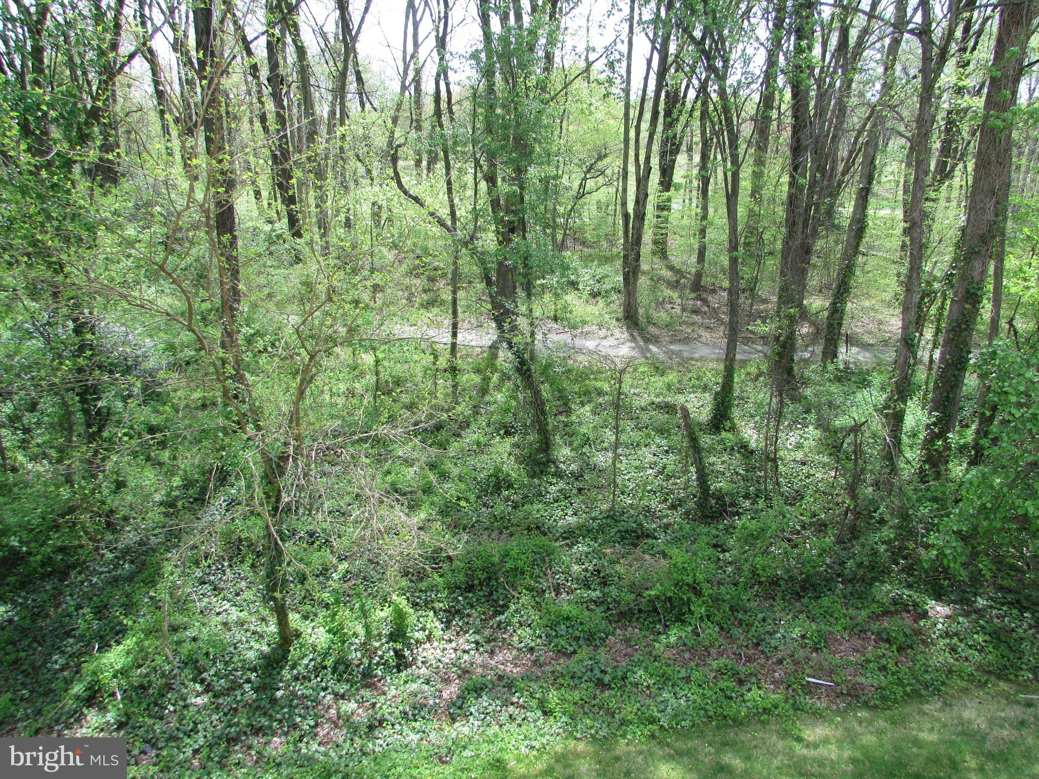 1535 ASHBURNHAM DRIVE
