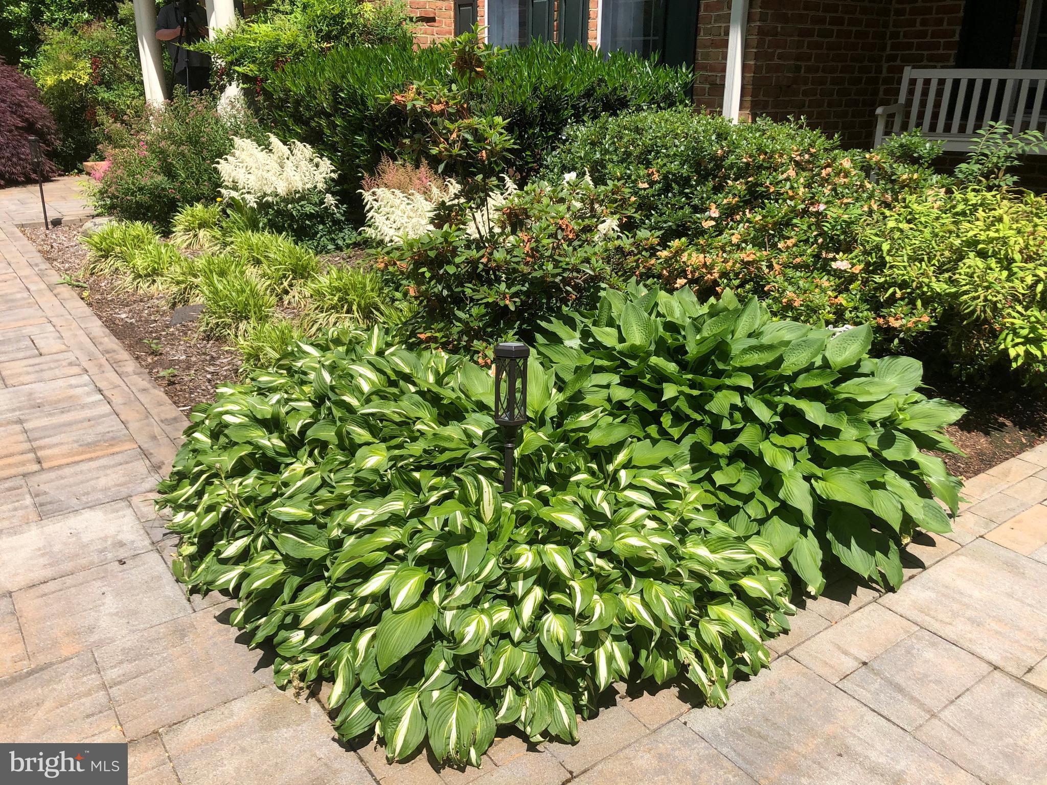 PENDERBROOKE - Residential