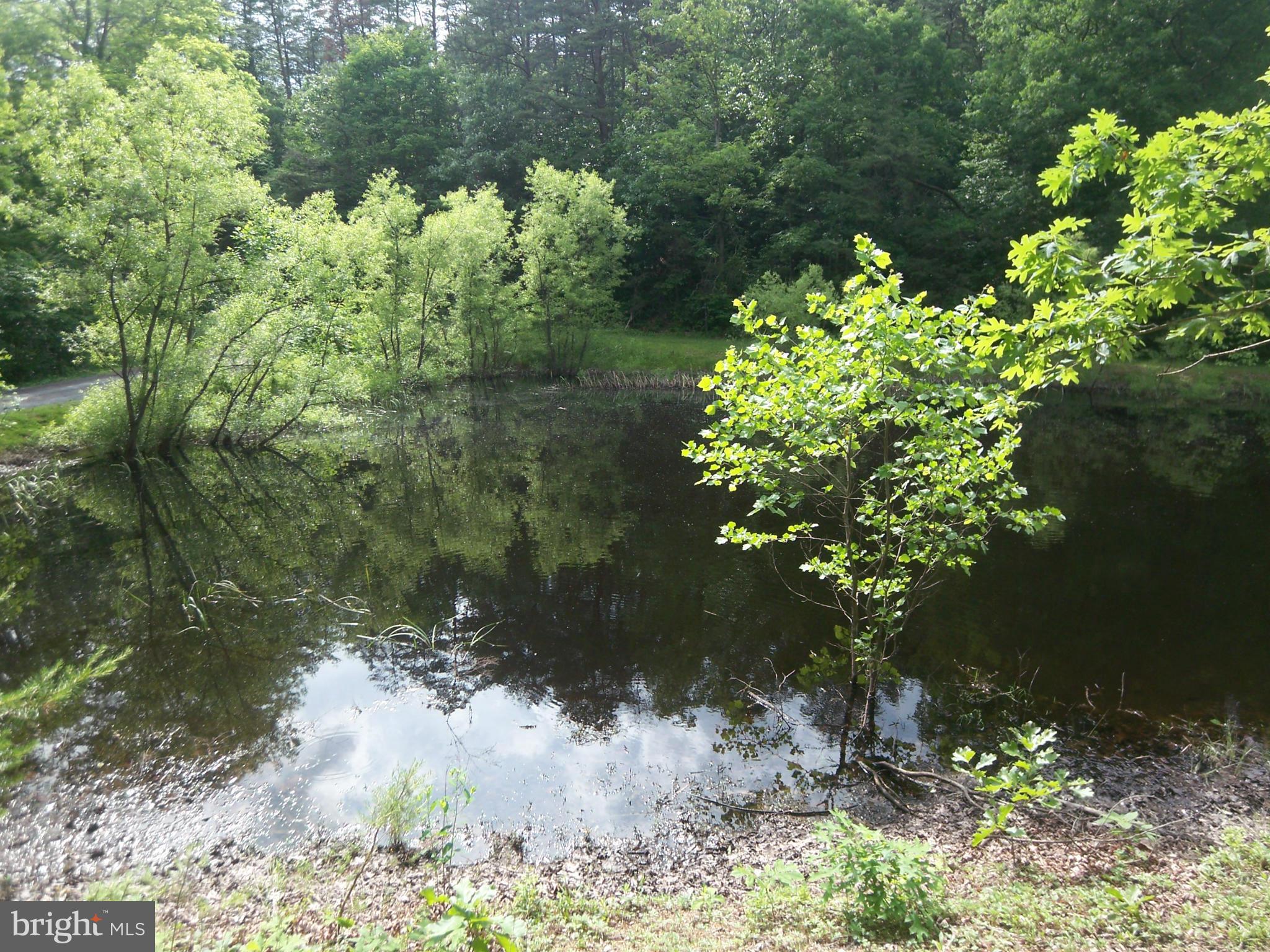 SLEEPY CREEK FOREST - Residential