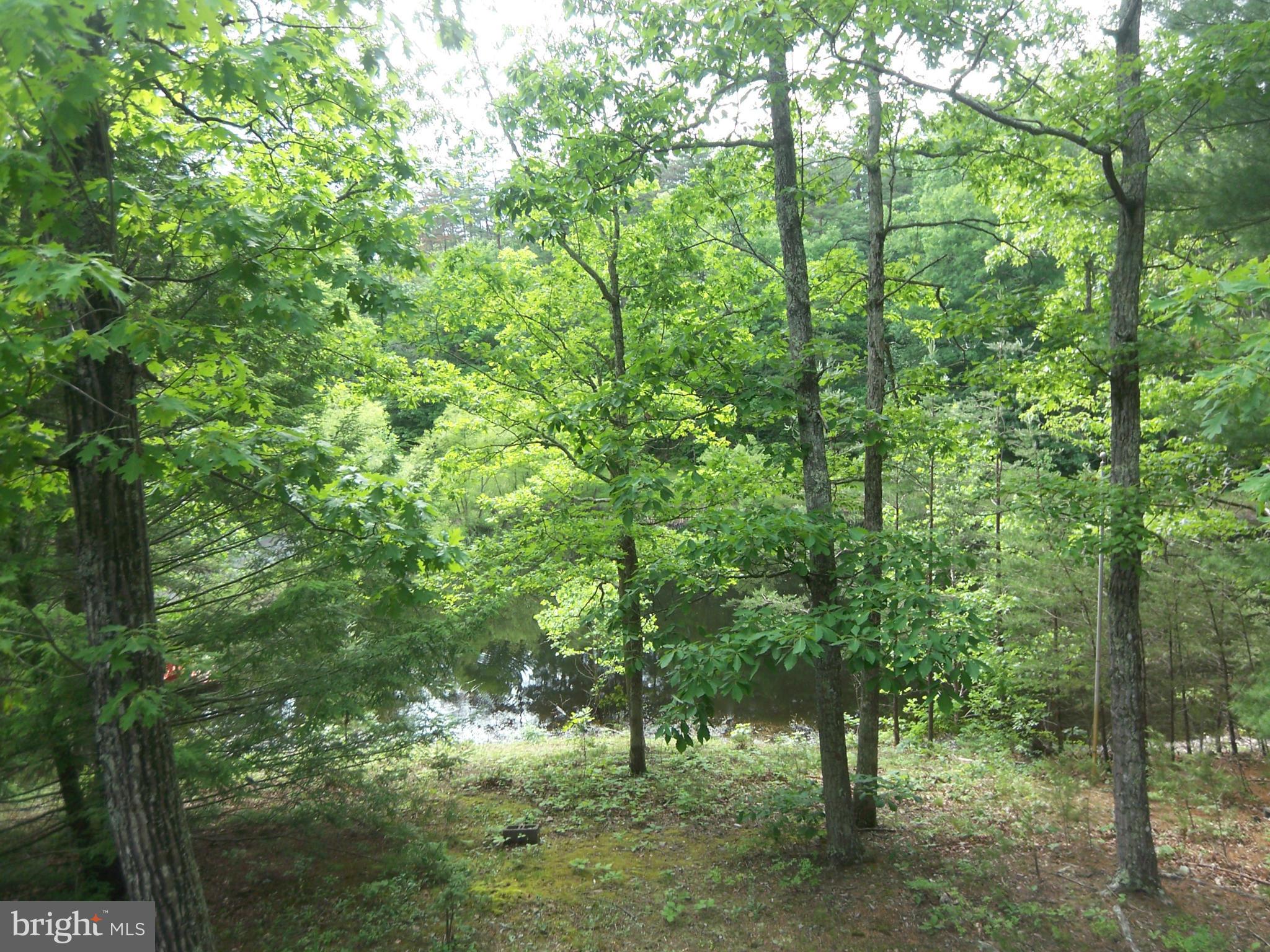 SLEEPY CREEK FOREST - Residential