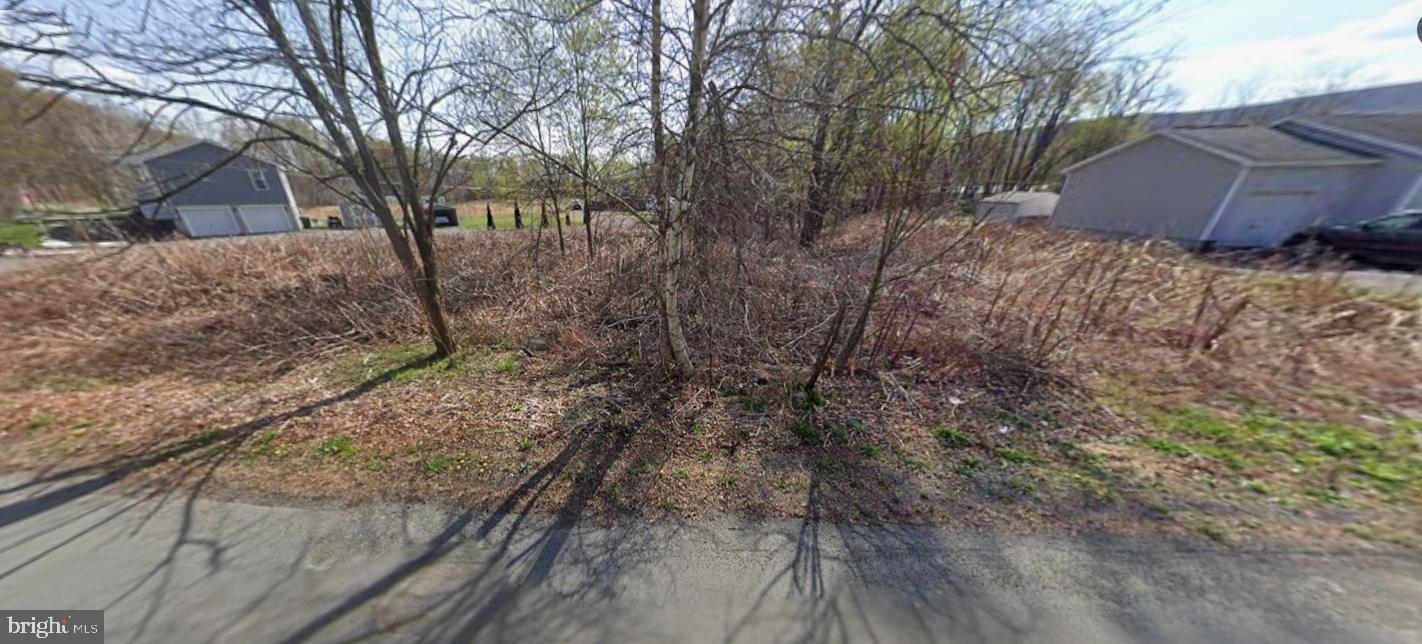 LOWER POWDERLY ST.