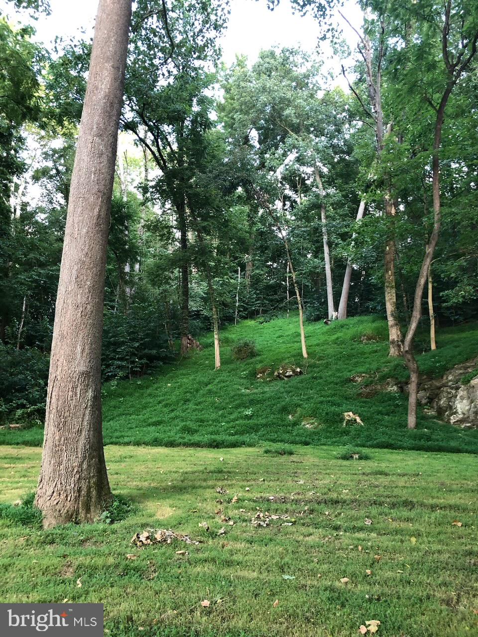 ROCK FERRY STATION - Land