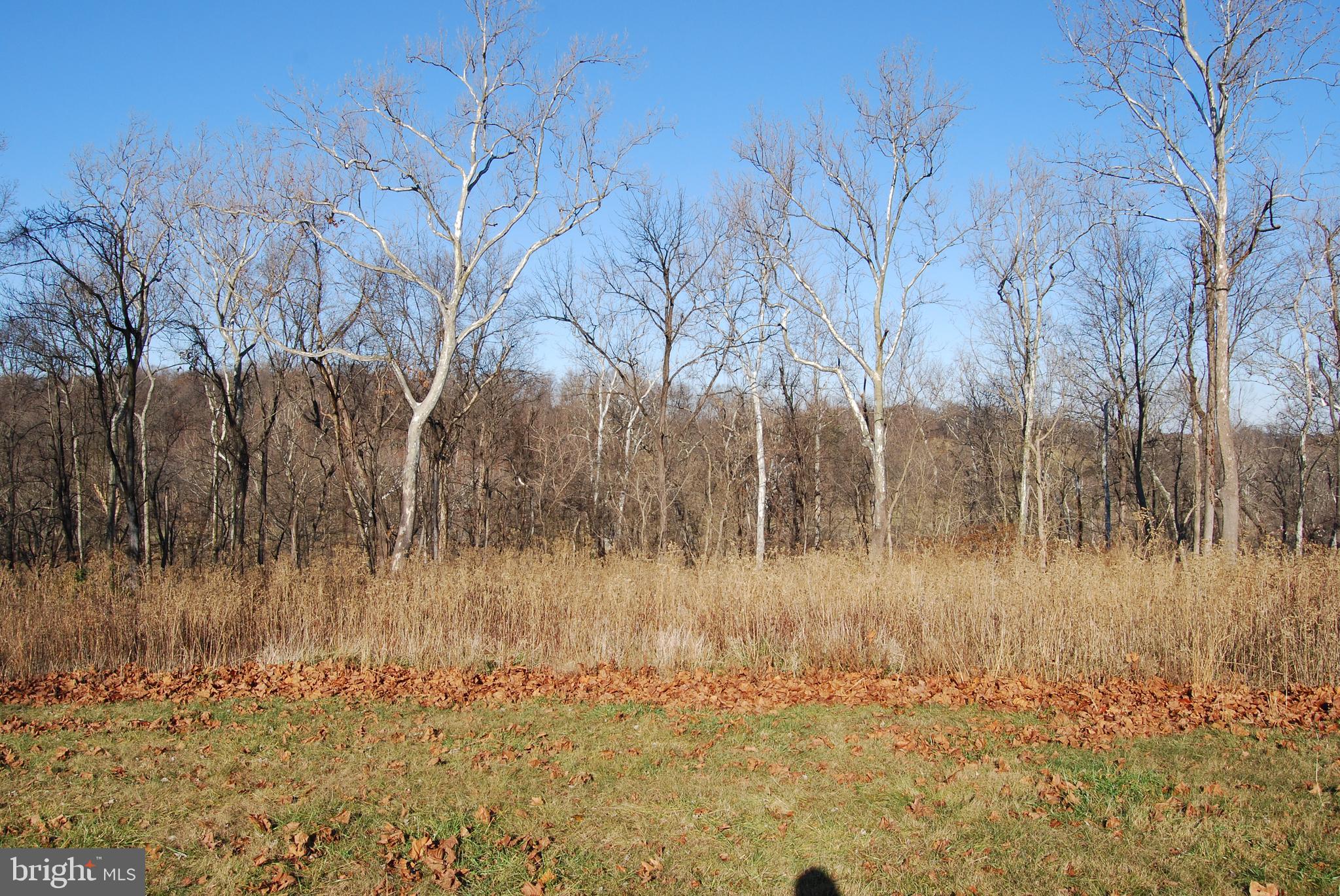 ROCK FERRY STATION - Land