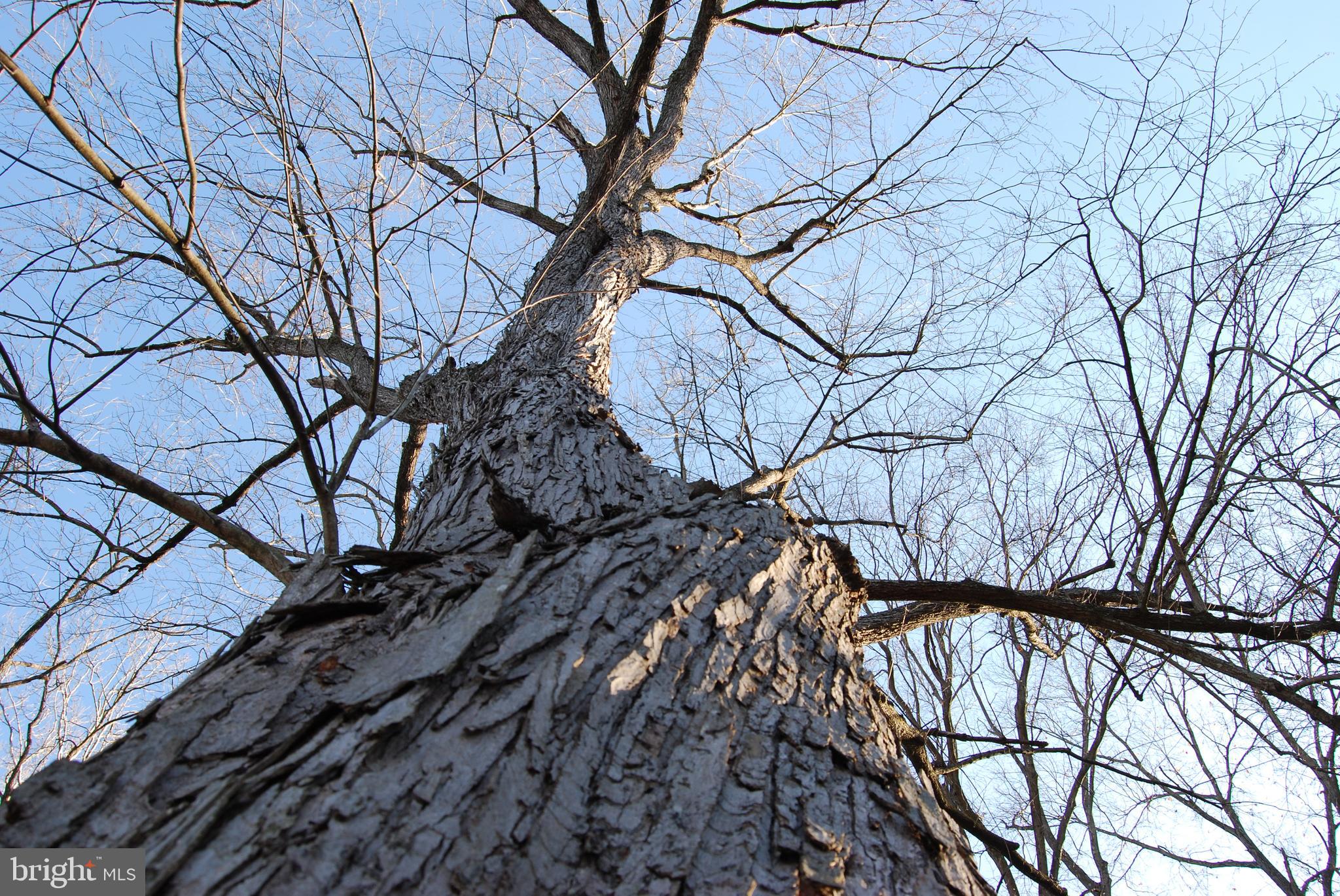 ROCK FERRY STATION - Land