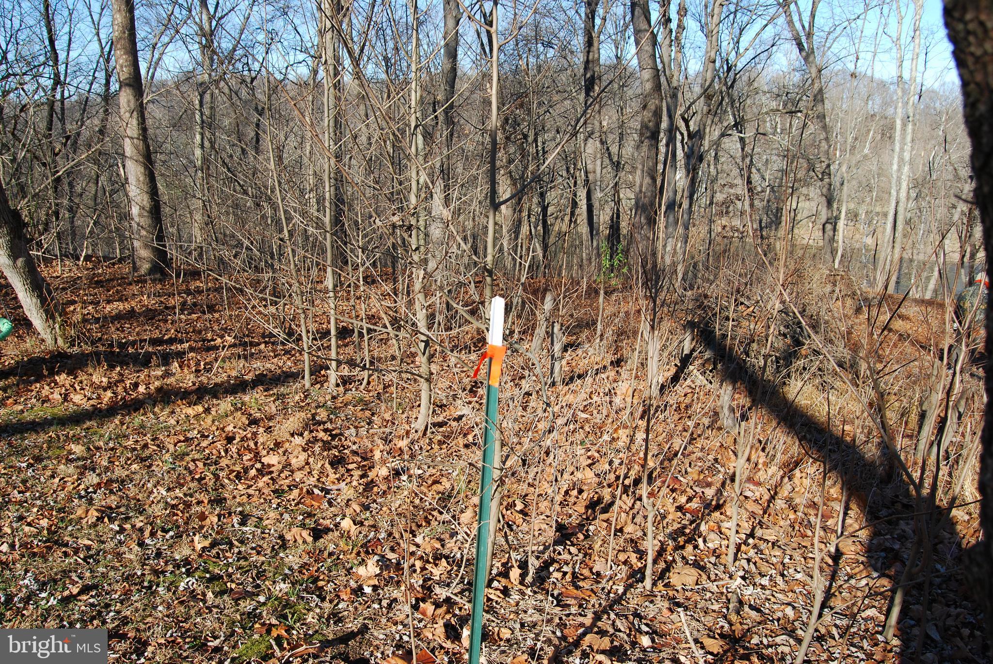 ROCK FERRY STATION - Land