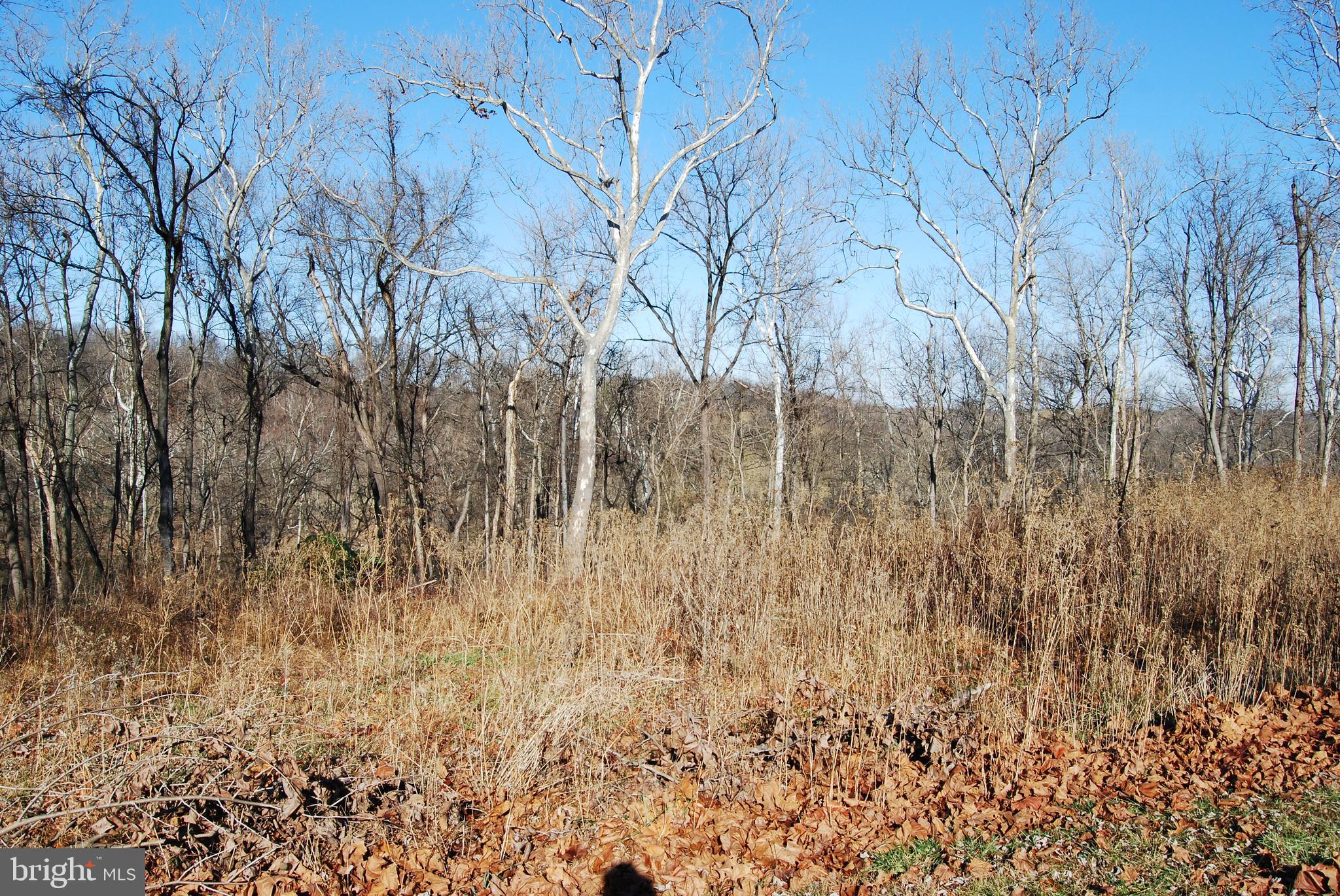 ROCK FERRY STATION - Land