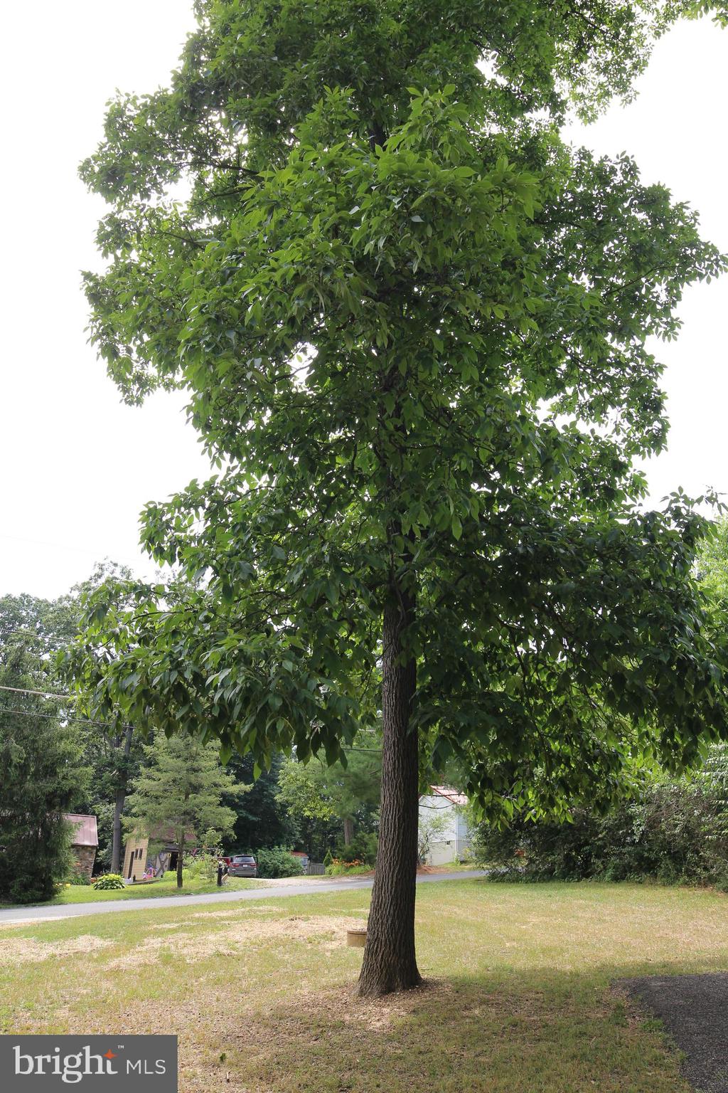 SUSQUEHANNA TRAILS - Residential