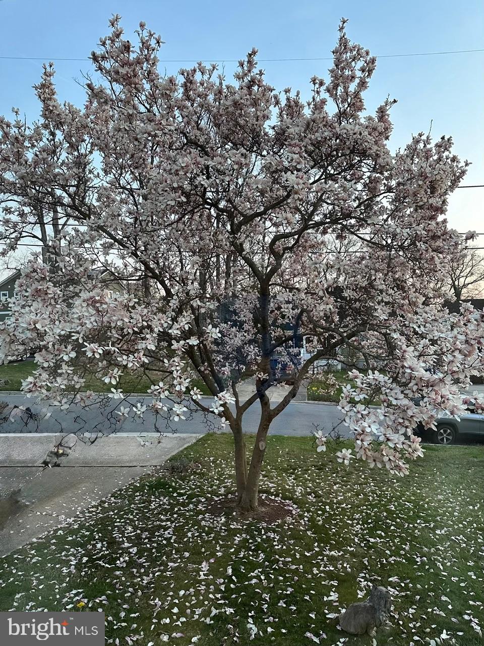 BERWYN HEIGHTS - Residential