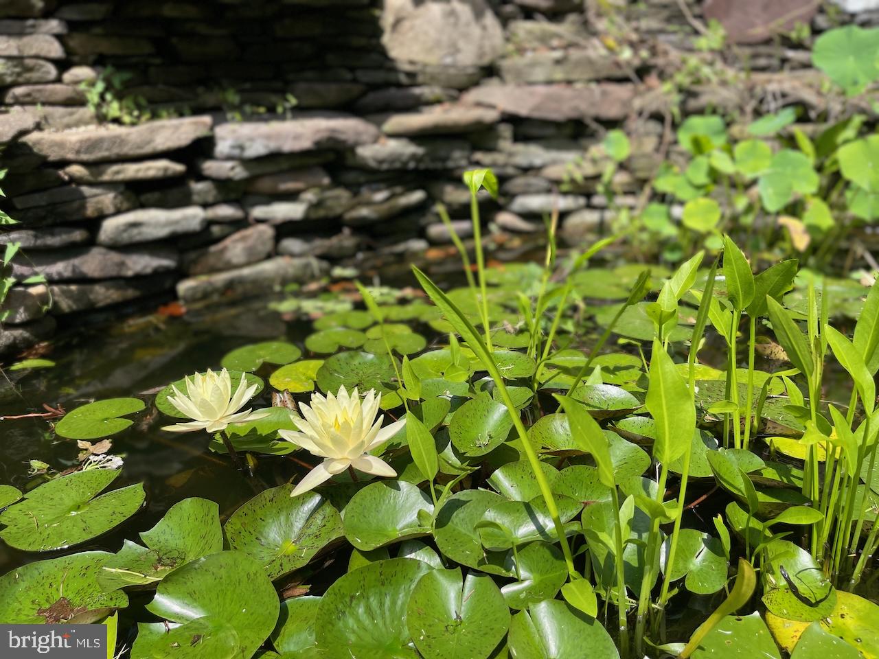 KENSINGTON - Residential Lease