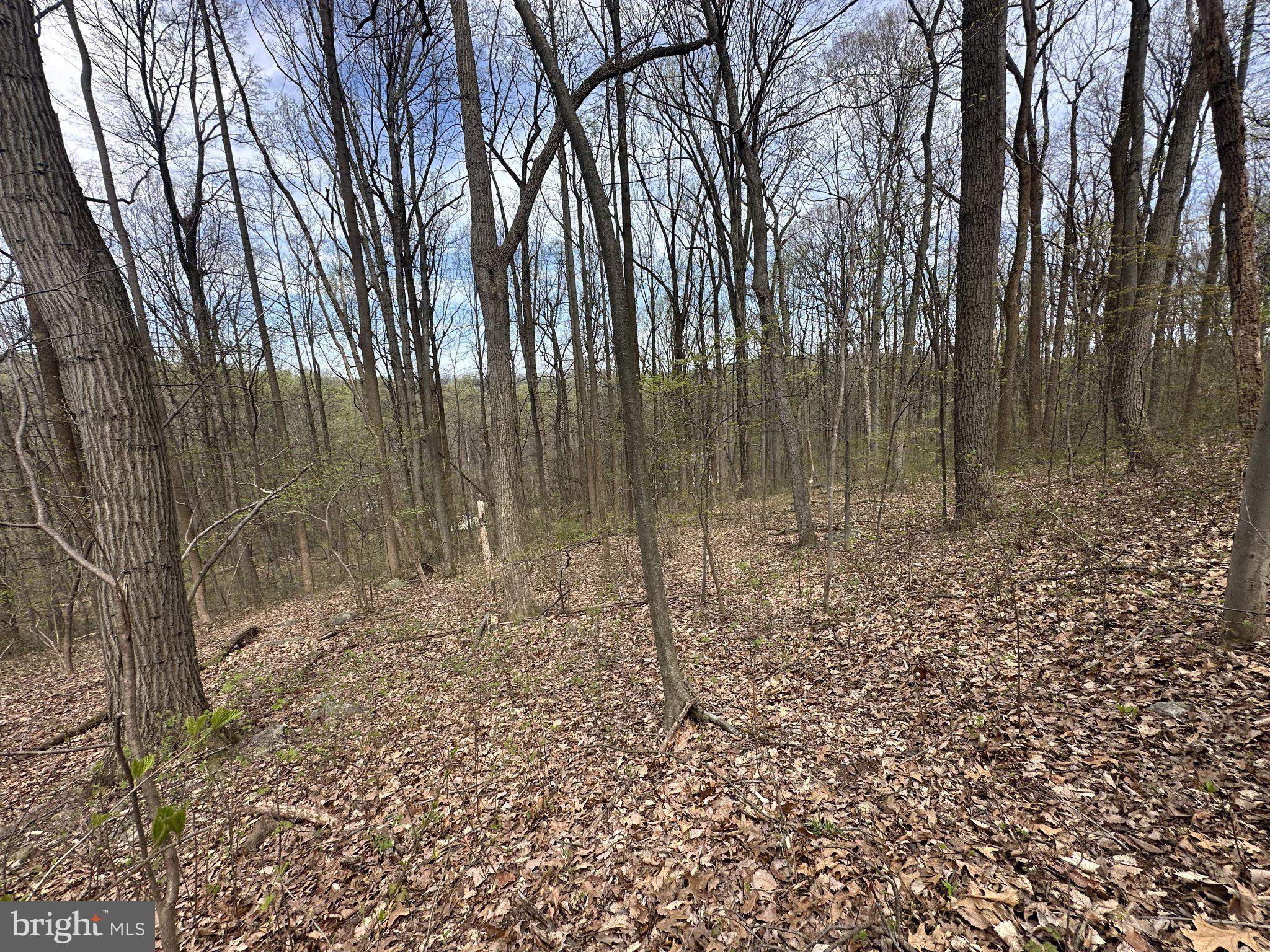 POTTSTOWN PIKE