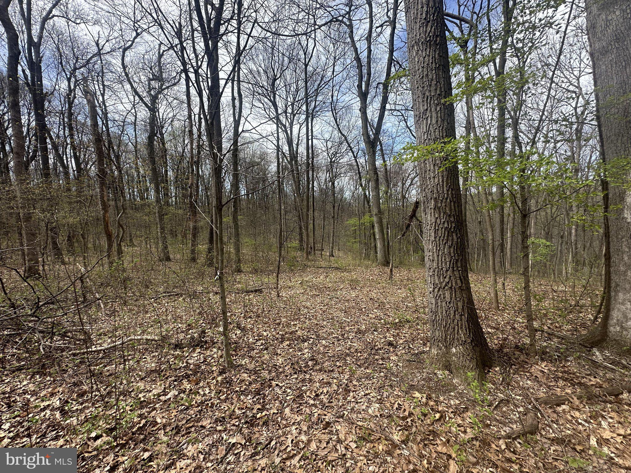 POTTSTOWN PIKE