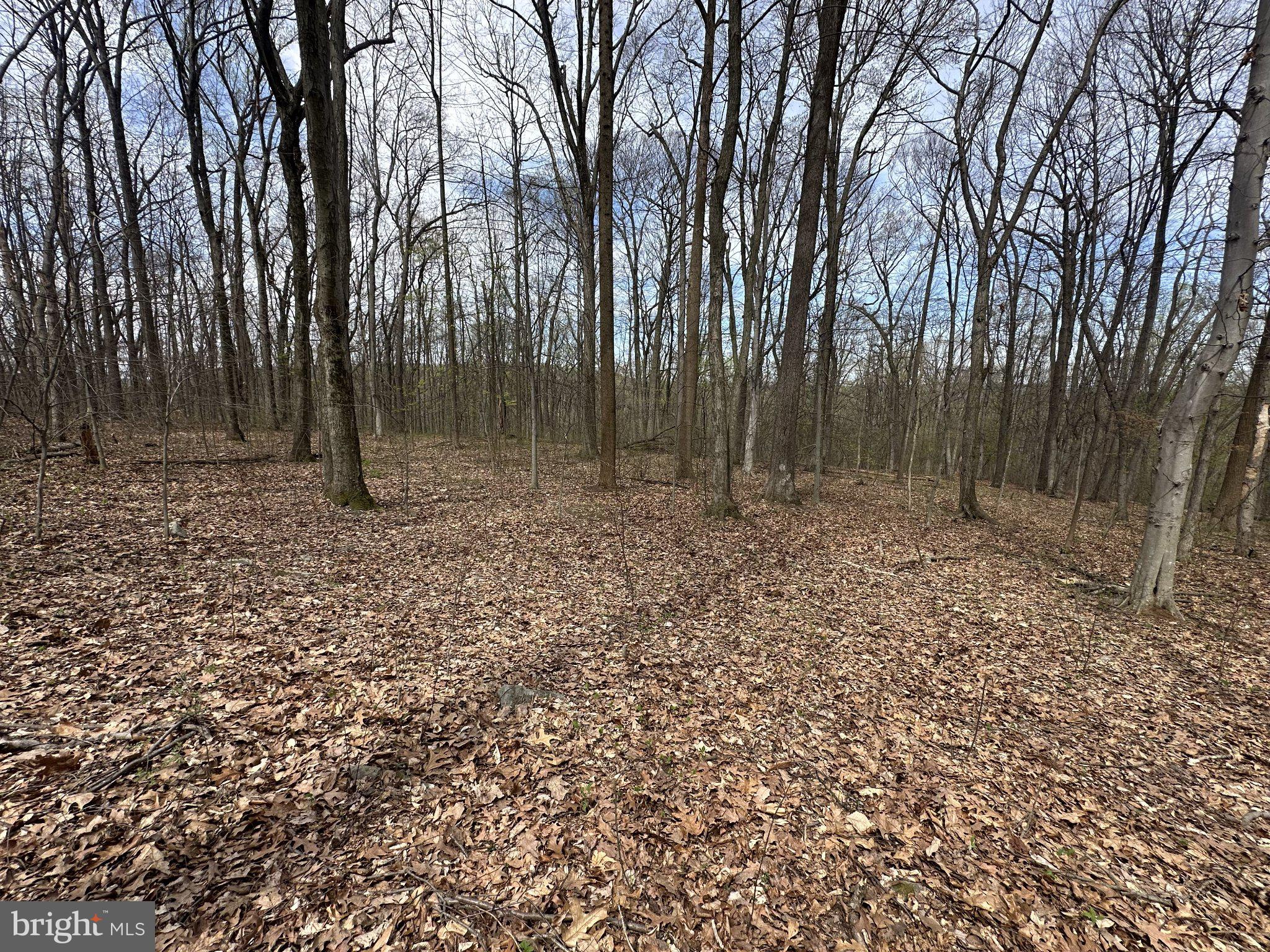 POTTSTOWN PIKE