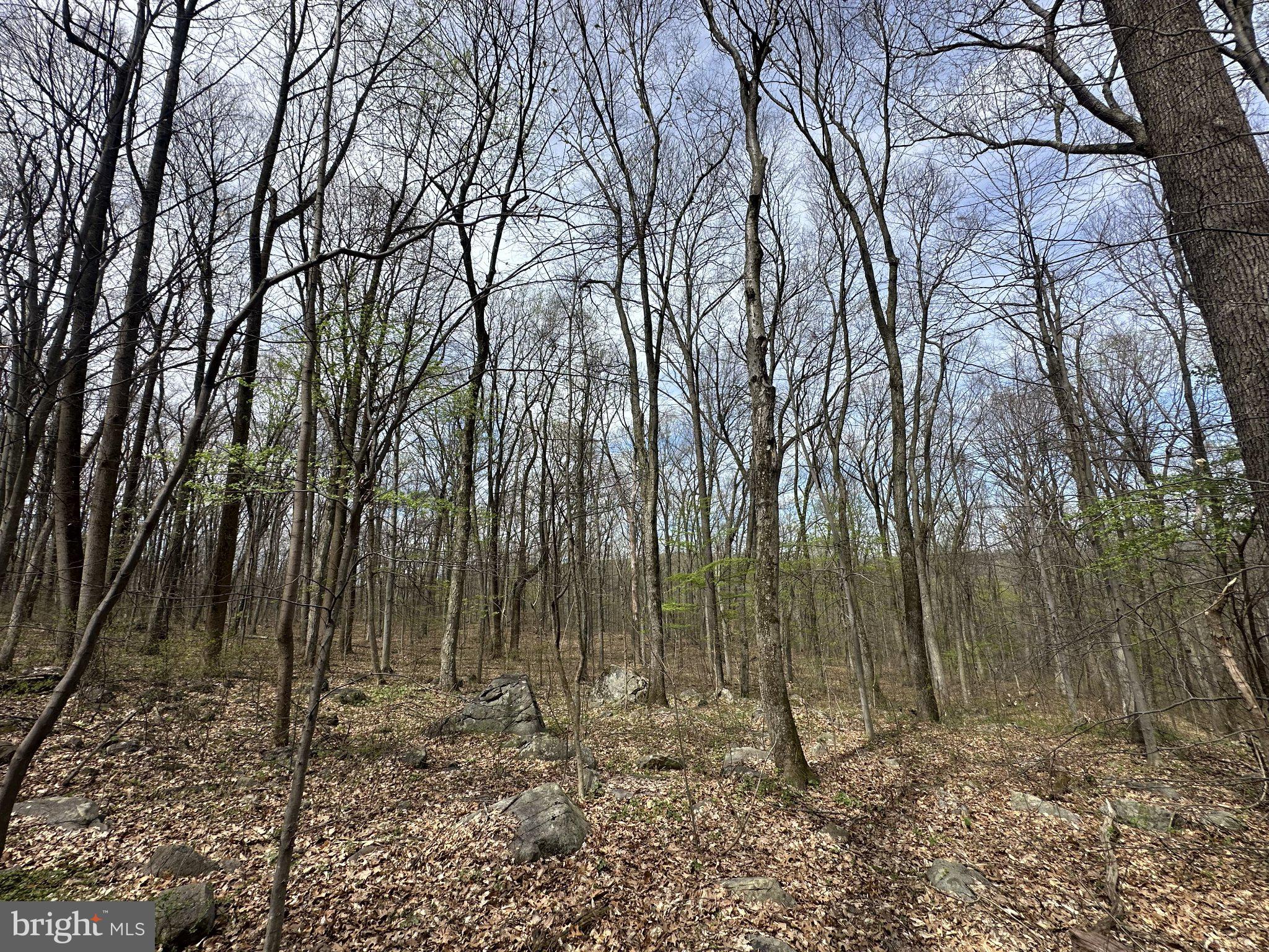 POTTSTOWN PIKE