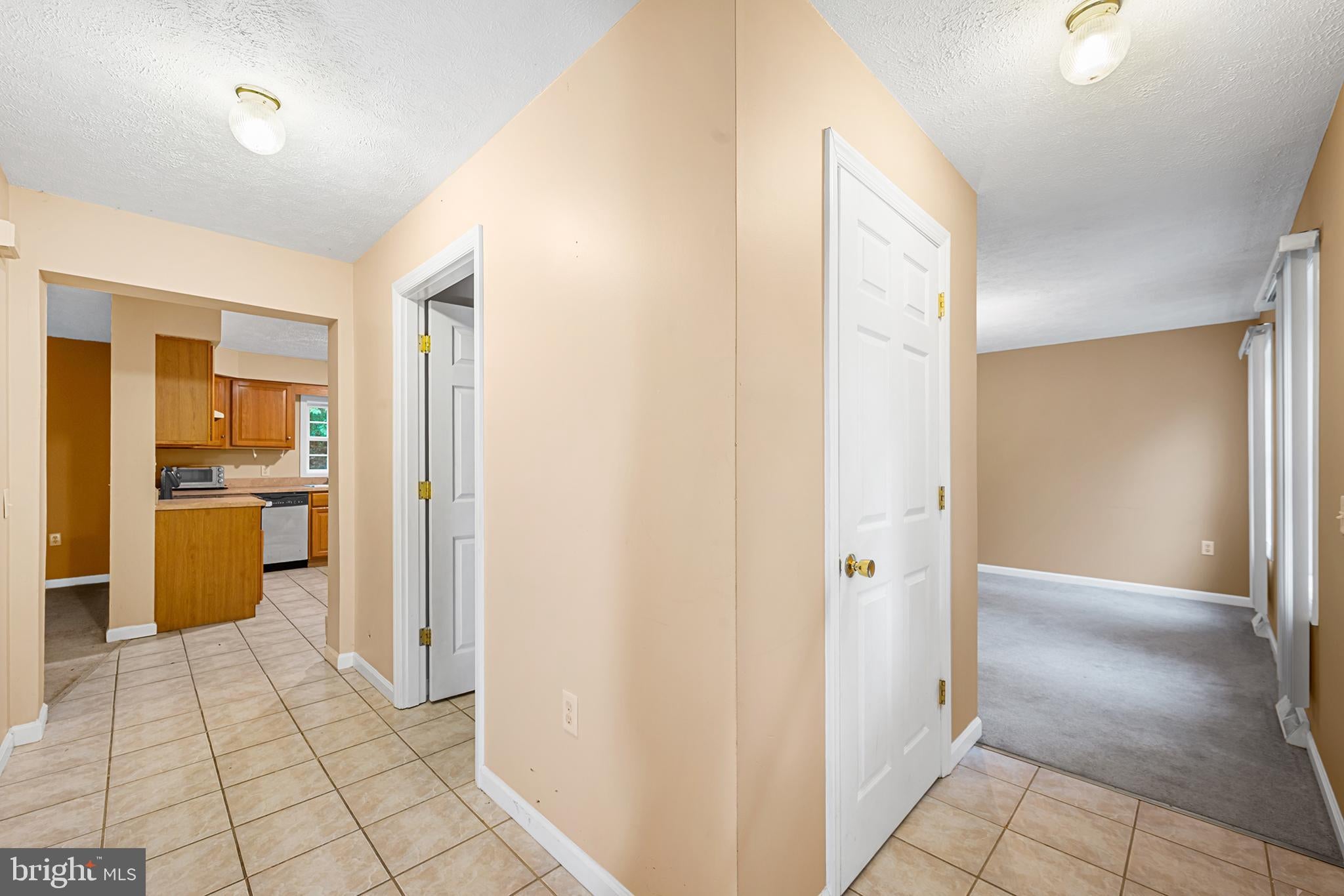 313 LOWER LAKEVIEW DRIVE