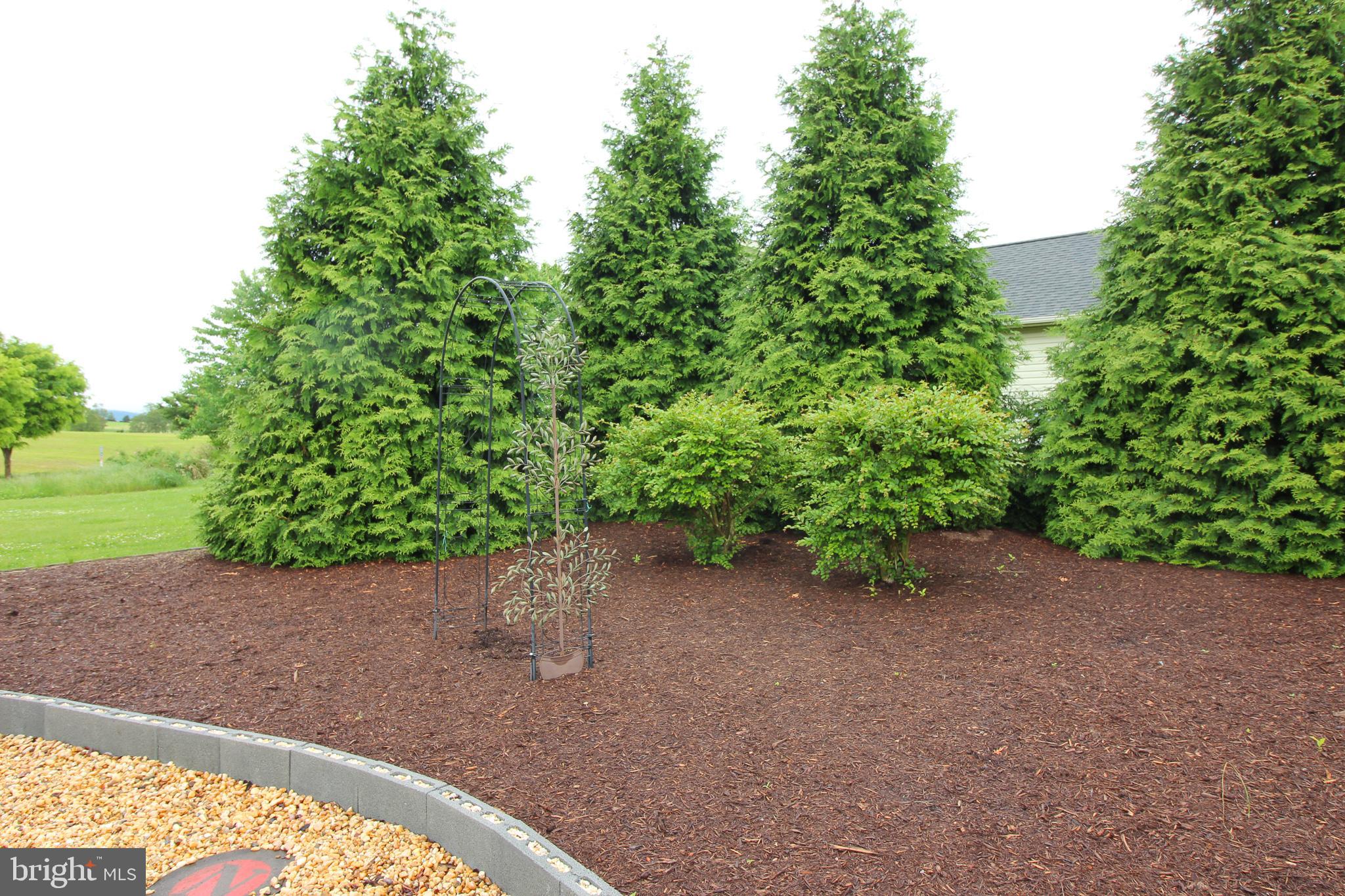 MOUNTAINVIEW SUBD - Residential