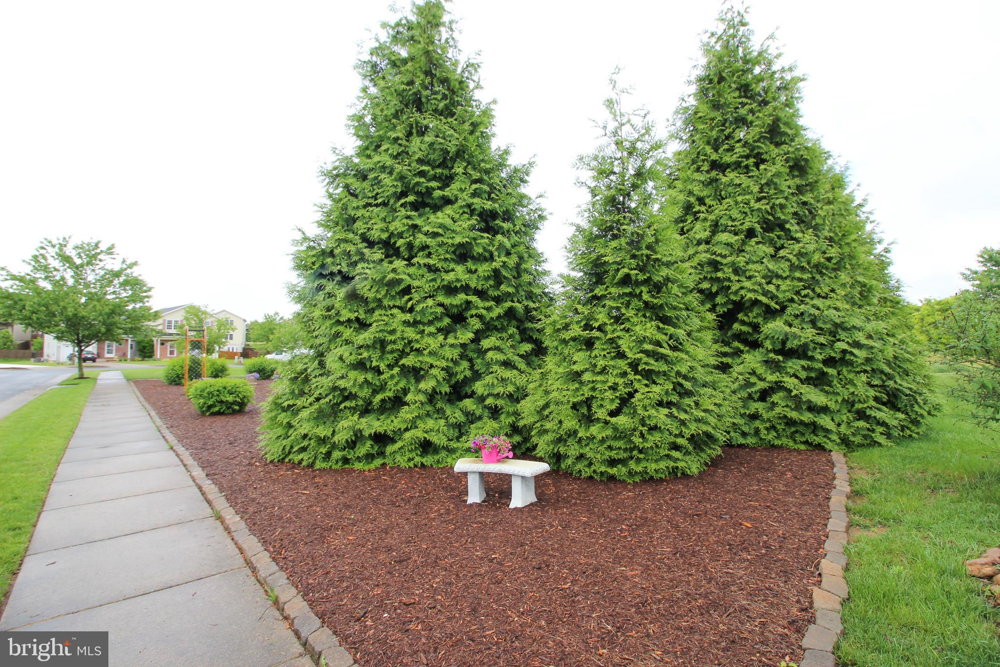 MOUNTAINVIEW SUBD - Residential