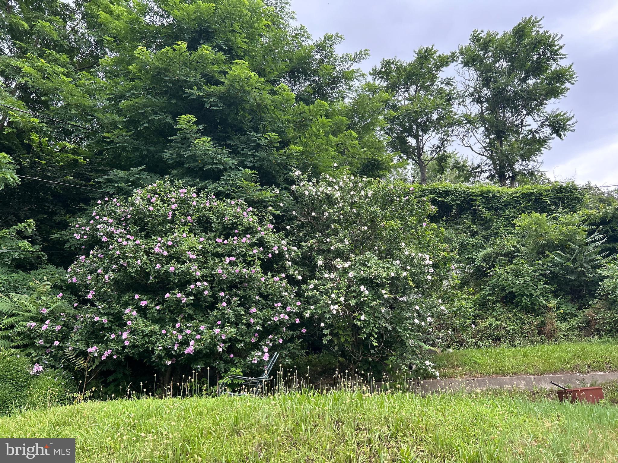 EAST SIDE - Residential