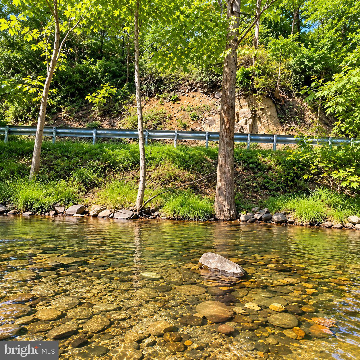 1463 BACK CREEK ROAD