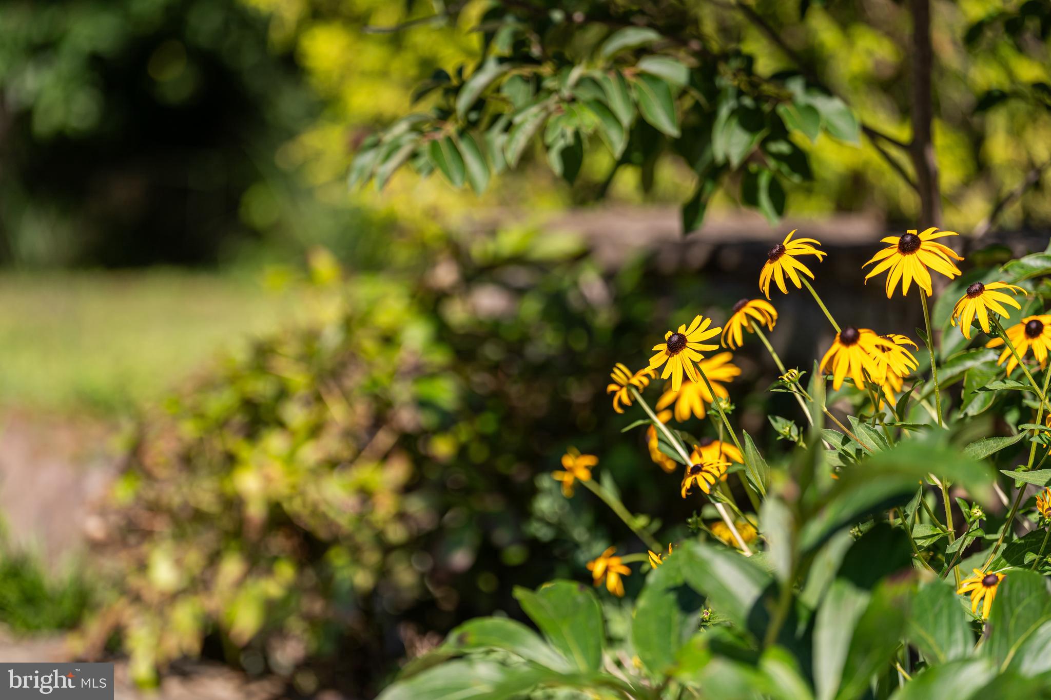 STONEY CREEK WOODS - Residential