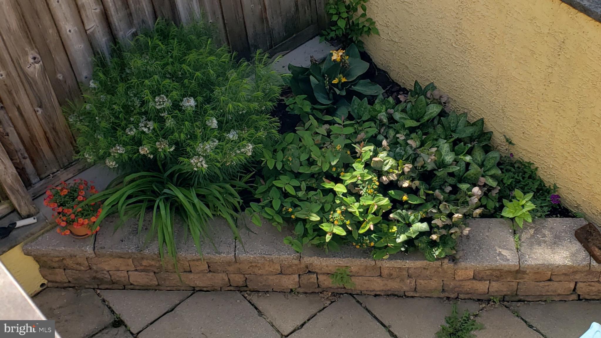 ART MUSEUM AREA - Residential