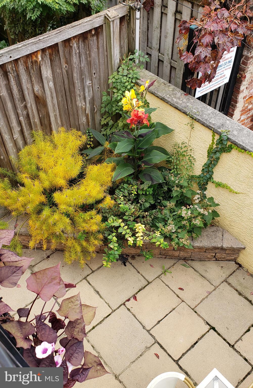 ART MUSEUM AREA - Residential