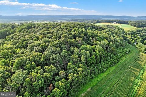 Vacant Land For Sale - Falls Road<br/> MANCHESTER, MD 21102